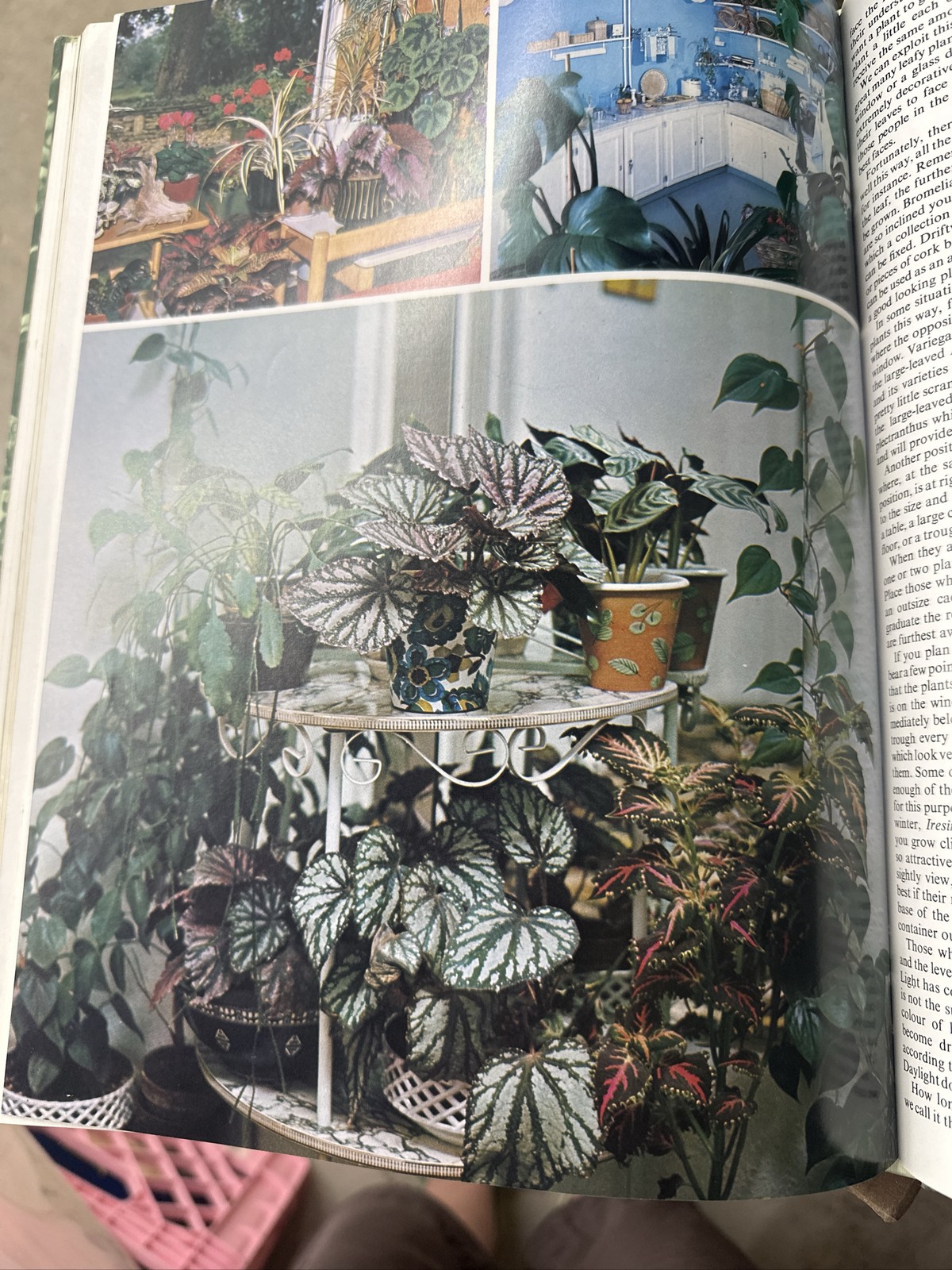 World Encyclopedia Of Indoor Plants & Flowers Joanna Kelly 1977 HC