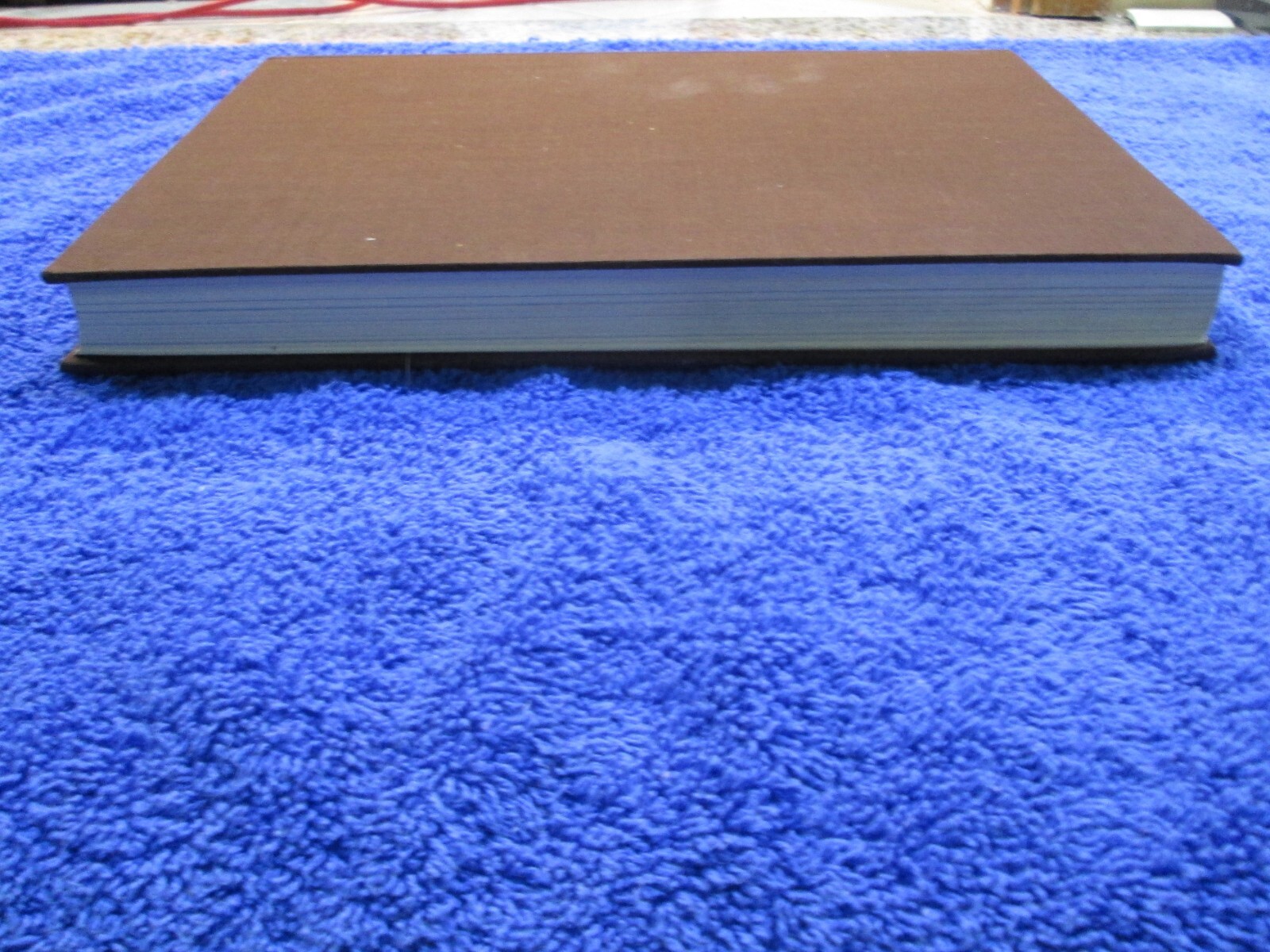 The Teddy Bear Book *FLAT-SIGNED* by Peter Bull and Numbered 1244 out of 10,000