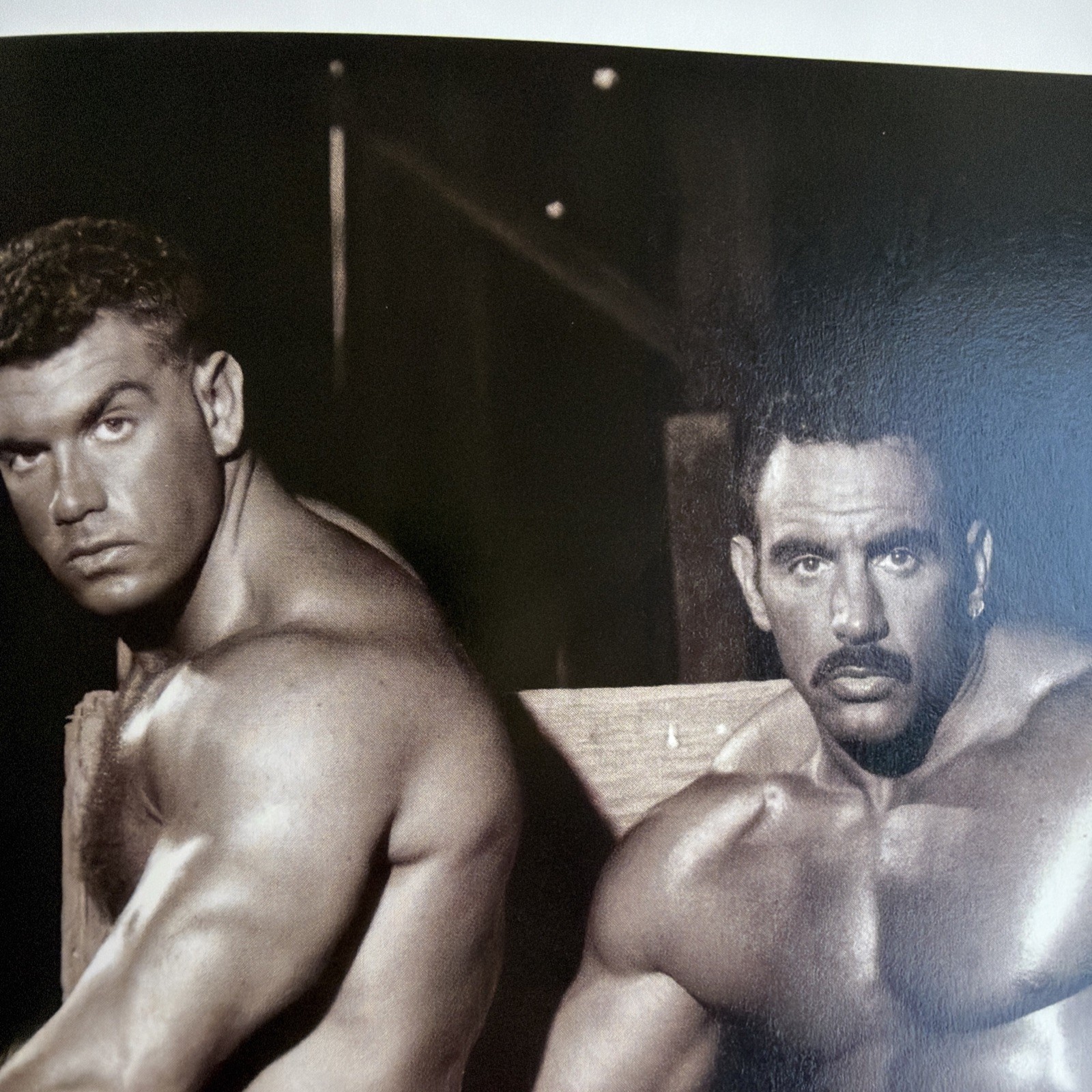 Colt 40 Gay Male Hardcover Photography Book Colt Studios Jim French 2006