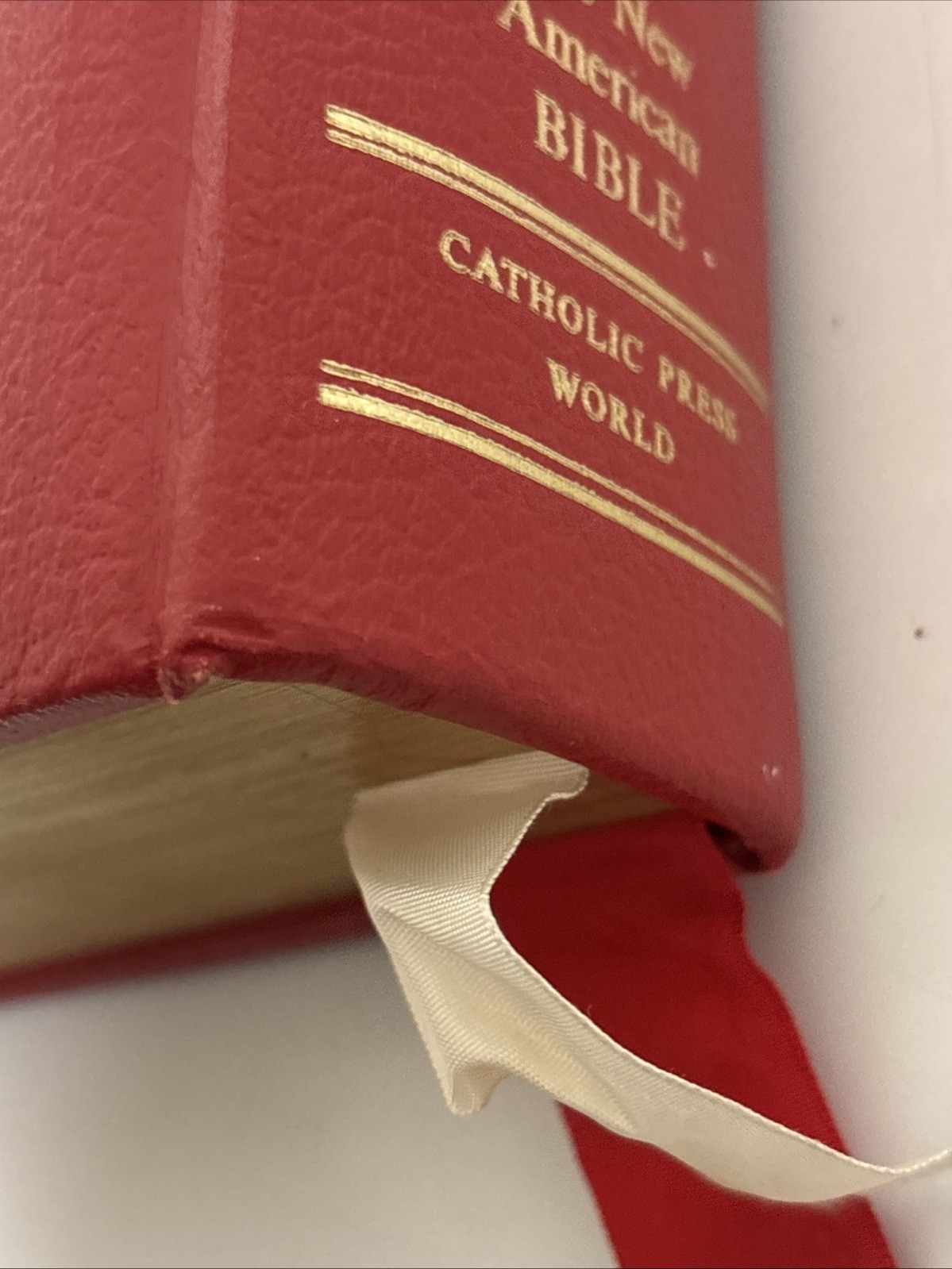Holy Bible NAB Red. The New American Bible. Catholic Press World