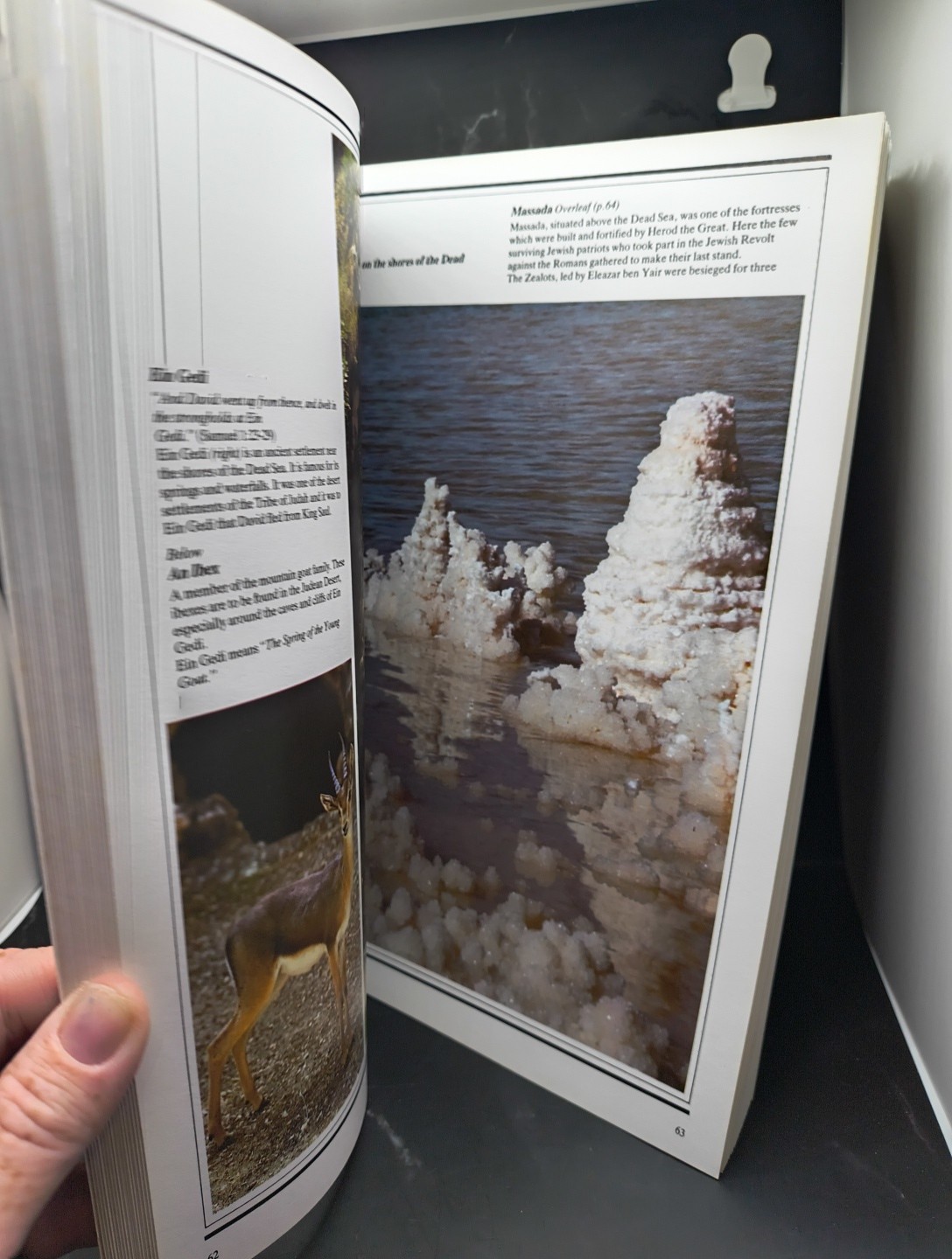 The Holy Land Book Souvenir Great Jubilee 2000 Travel Religion History Photos
