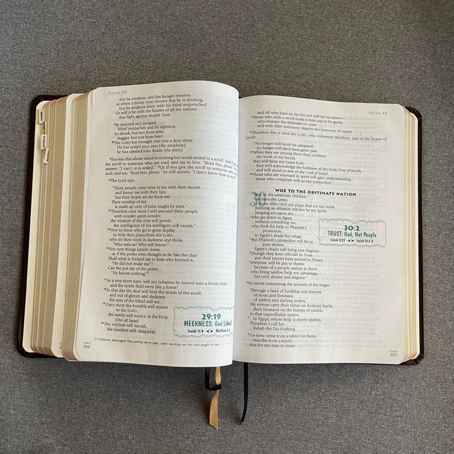 THOMPSON ANSWER BIBLE – NIV- SIMULATED LEATHER BRIDLE By Hartnell House