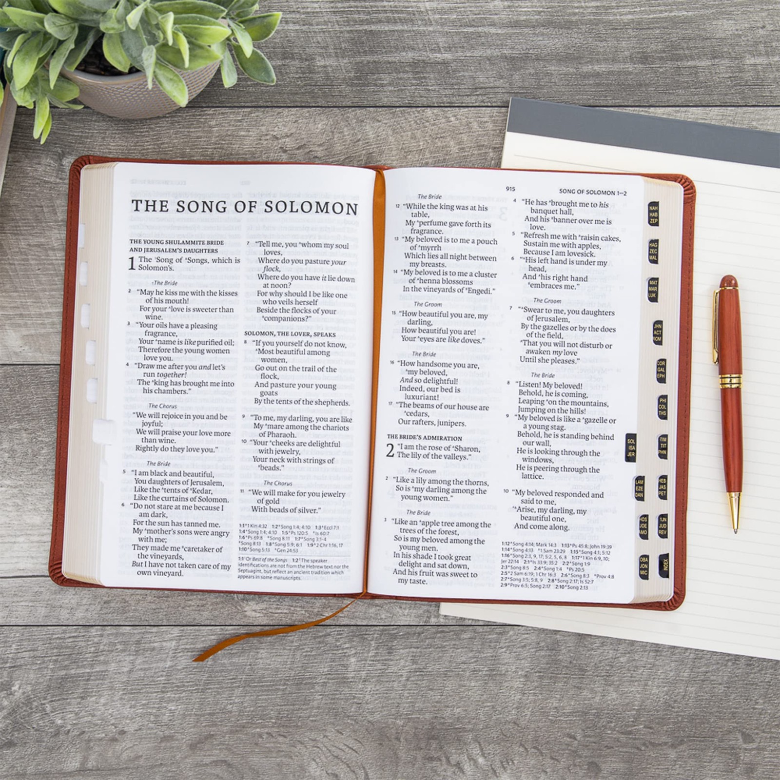 Reference Bible Super Giant Print Burnt Sienna LeatherTouch Indexed