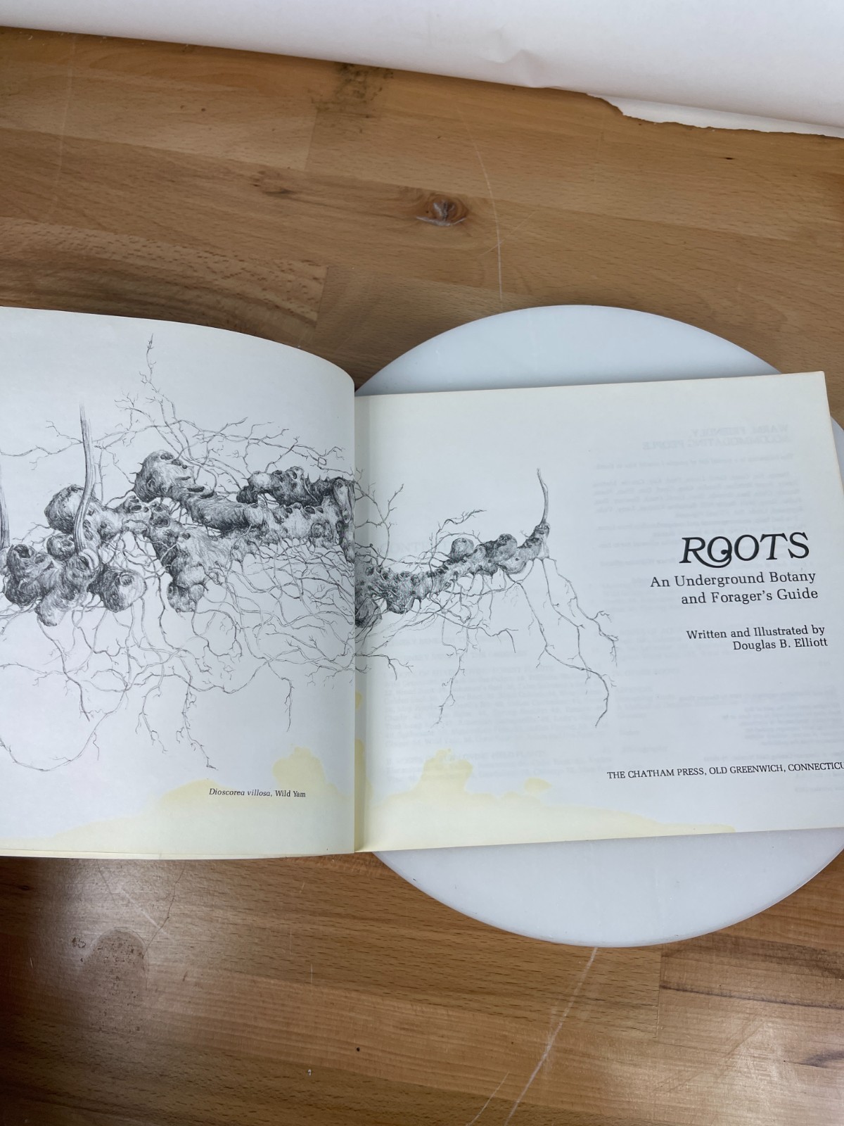 Roots Underground Botany Forager Guide Douglas B Elliott Vintage PB 1979