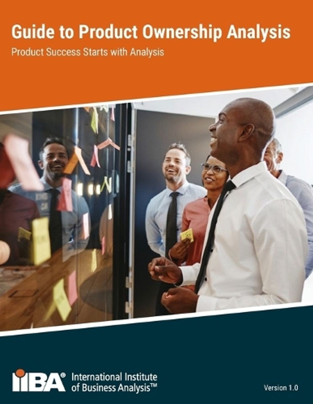 Guide to Product Ownership Analysis by Iiba Paperback Book