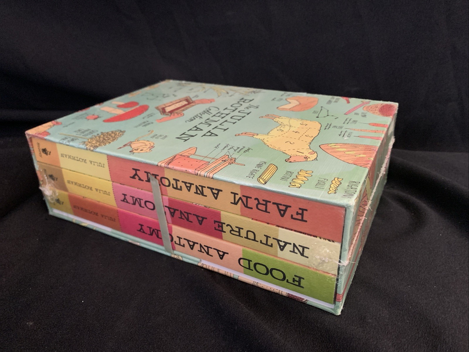 CLEAN NEW SEALED FRESH! Julia Rothman Collection 3 Book Box Set NATURE FARM FOOD