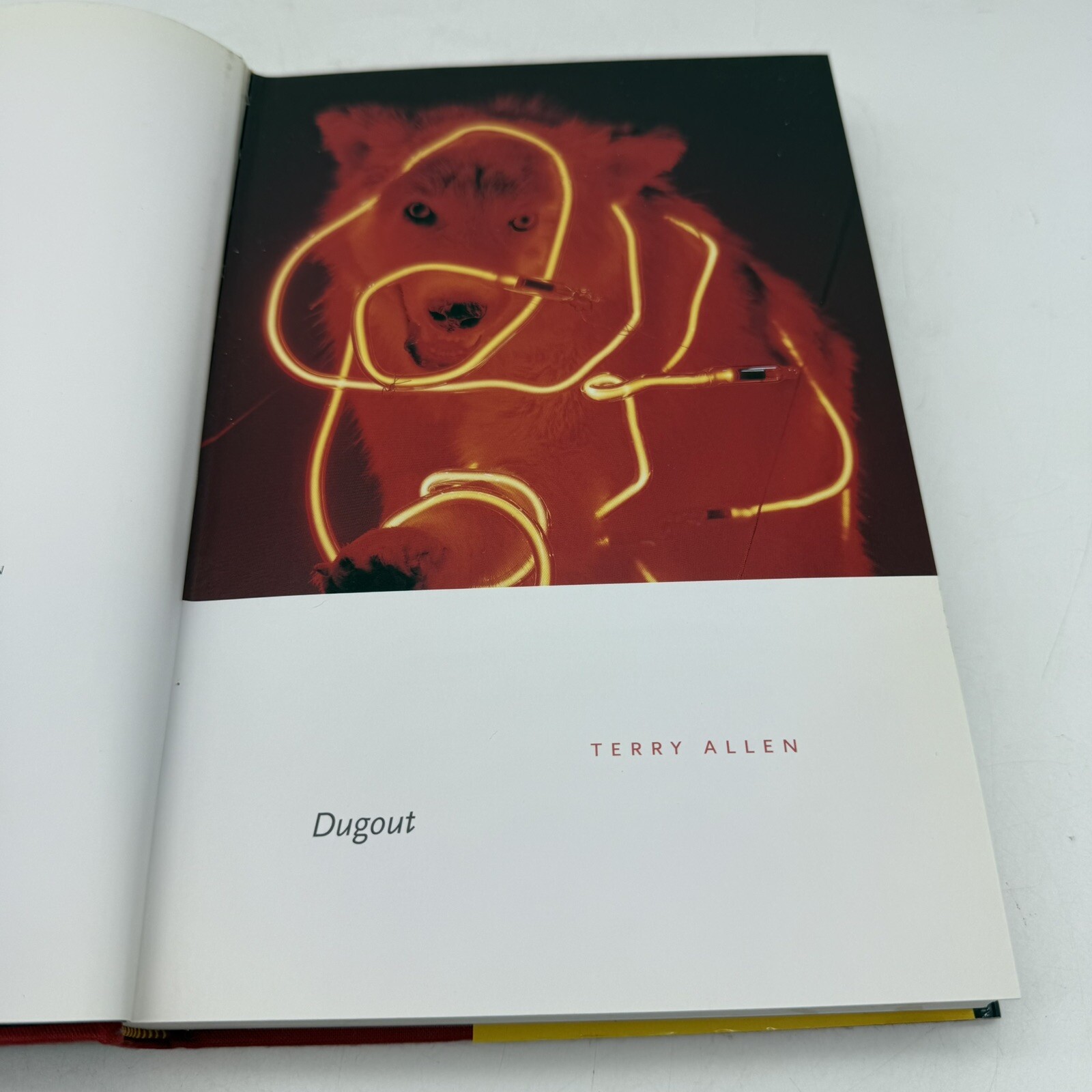 DUGOUT By Terry Allen & David Byrne – Hardcover *Read