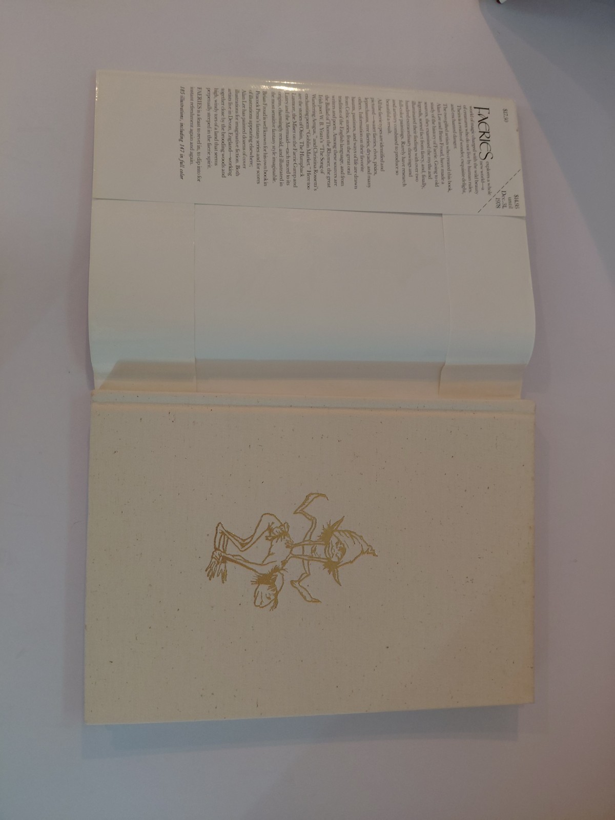 FAERIES Brian Froud Hardcover 1978 & 1979 Gnomes Huygen Illustrated Book Lot