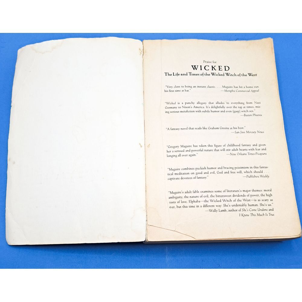 Wicked Gregory Maguire Novel Broadway Musical Inspiration Book Fiction Fantasy