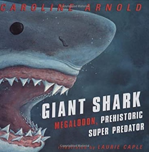 Giant Shark : Megalodon, the Super Prehistoric Predator Caroline