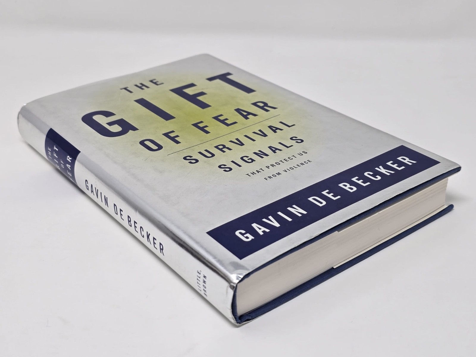 Gift of Fear Survival Signals That Protect Us from Violence by Gavin de Becker
