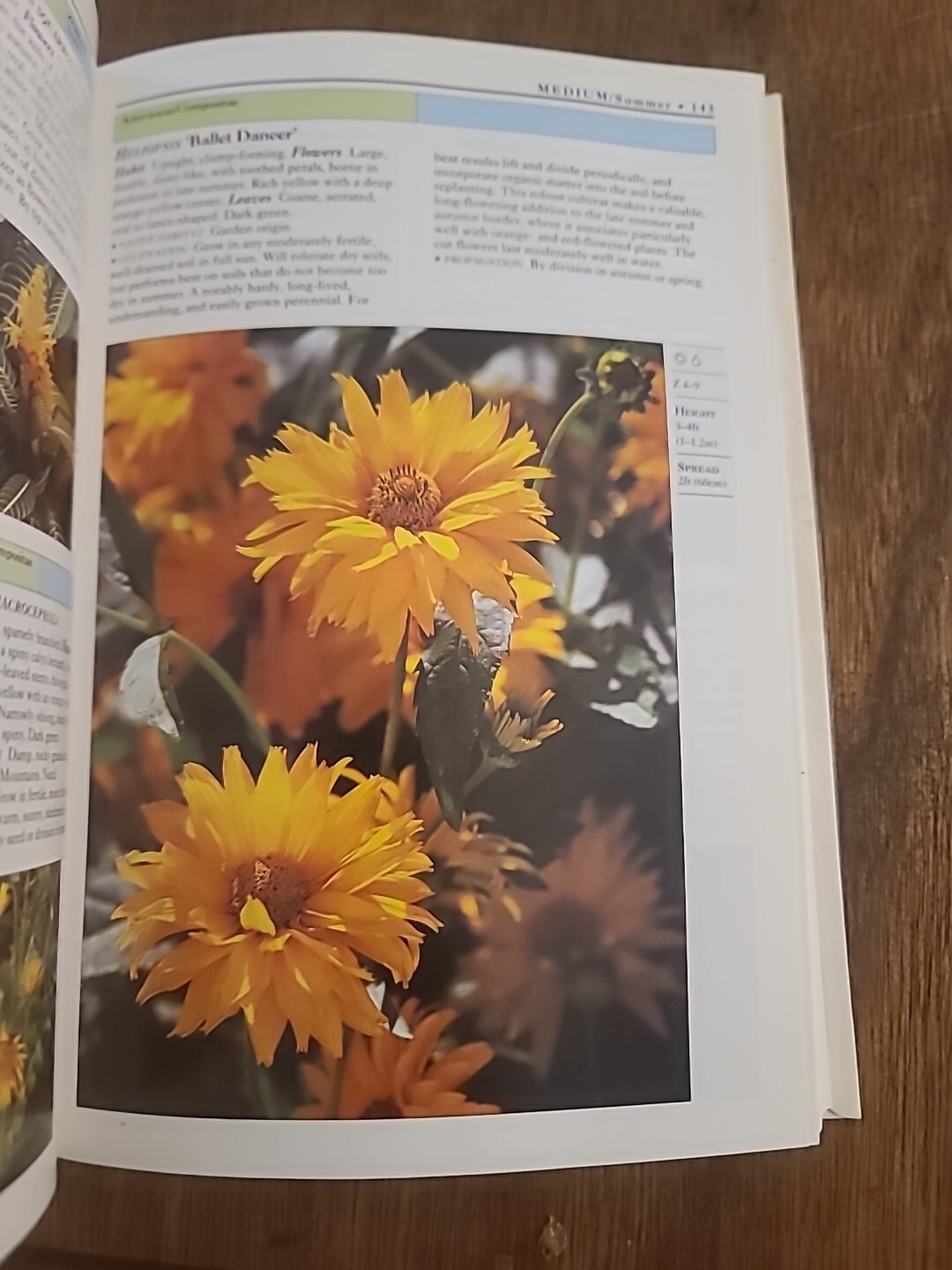 Eyewitness Garden Handbooks Perennials by David Joyce and Deni Bown 1997