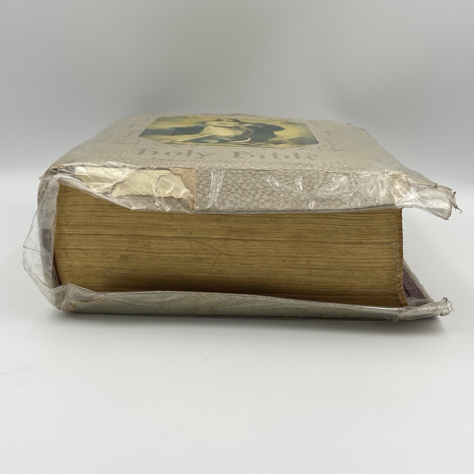 Vintage Holy Bible The Holy Angels Edition The Catholic Press 1963 White Large