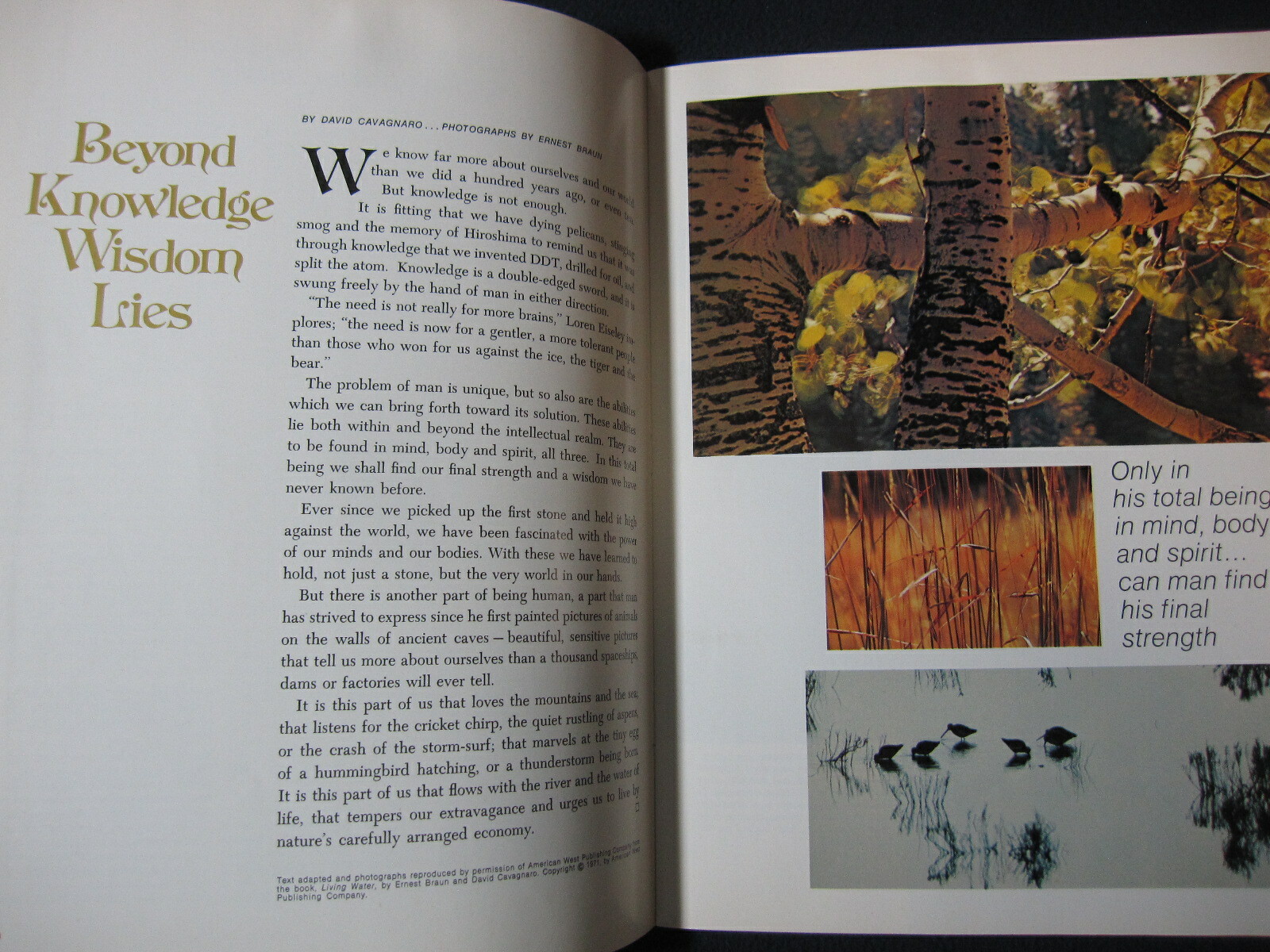 National Wildlife Magazine August/September 1972 [Single Issue Magazine] Natio..