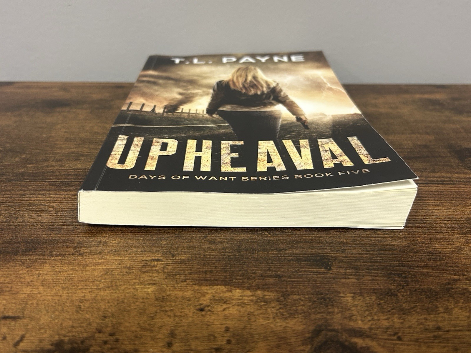 Upheaval: A Post Apocalyptic EMP Survival Thriller (Days of Want Book Five)