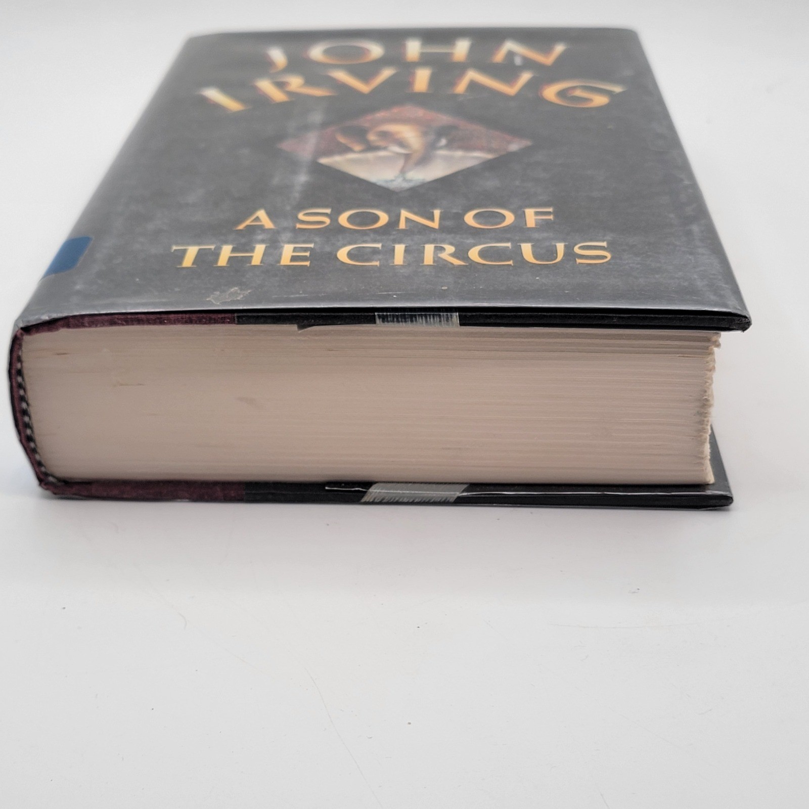 John Irving A Son of the Circus Hardcover First Trade Edition Ex-Library Good