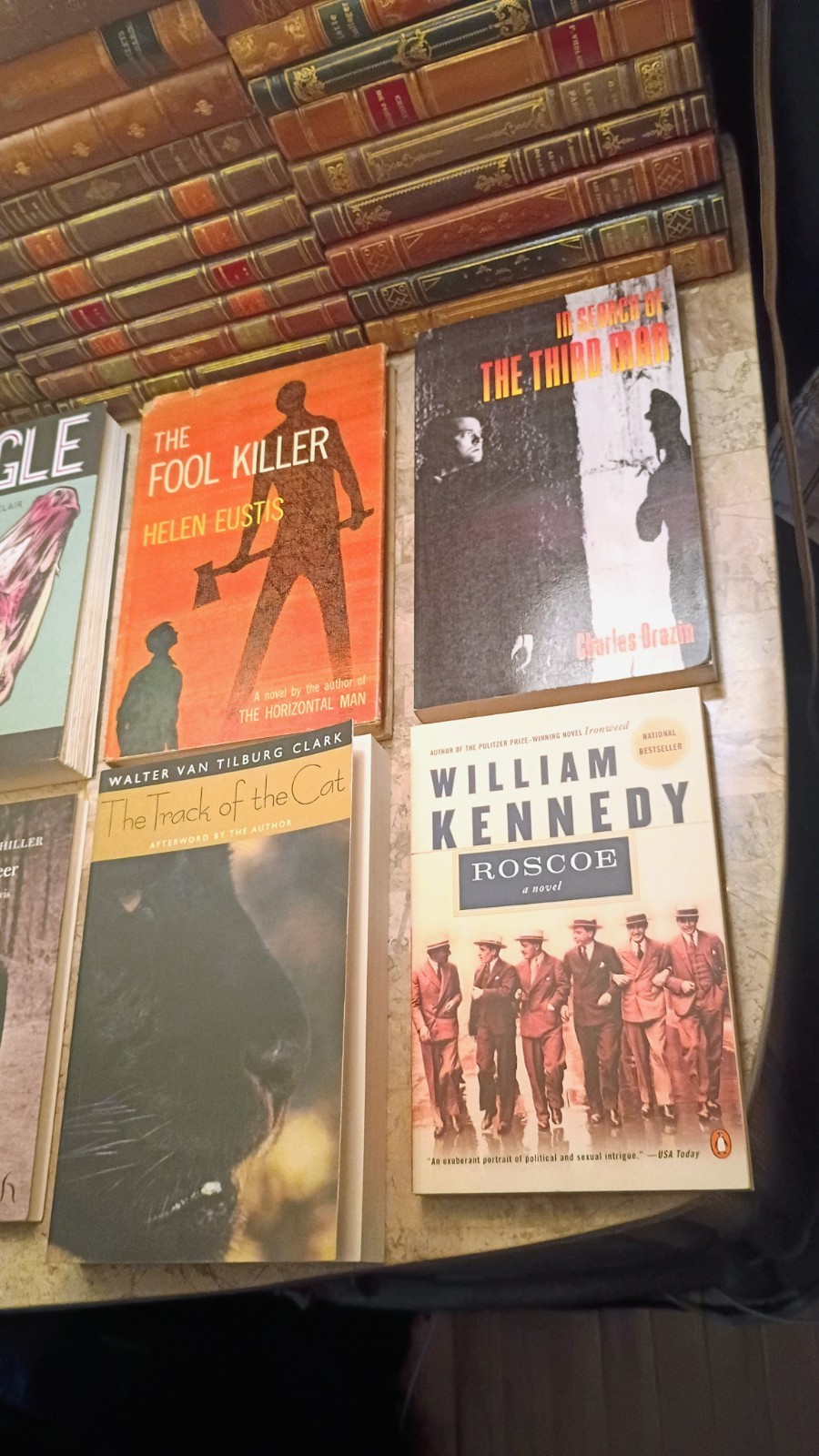 Vintage & Collectible Book Lot (6 Books) – First Editions