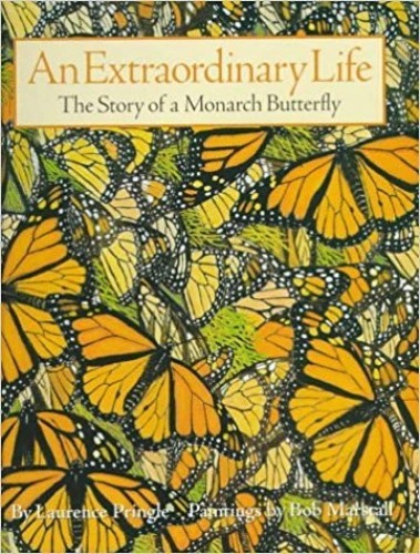 An Extraordinary Life: The Sto – VERY GOOD