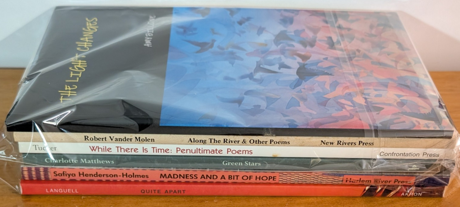 Lot of 6 Poetry Books, Billone, Molen, Tucker, Matthews, Languell… lot 073