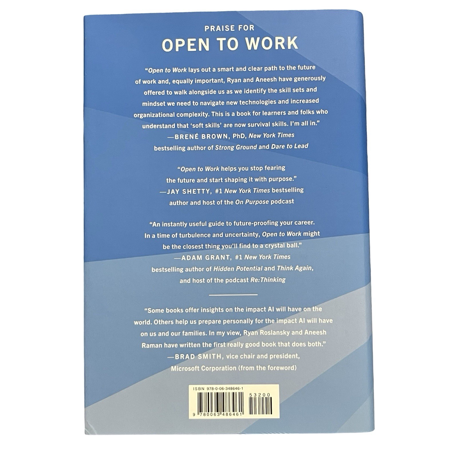 Open To Work By Ryan Roslansky & Aneesh Raman (2025, Hardcover)