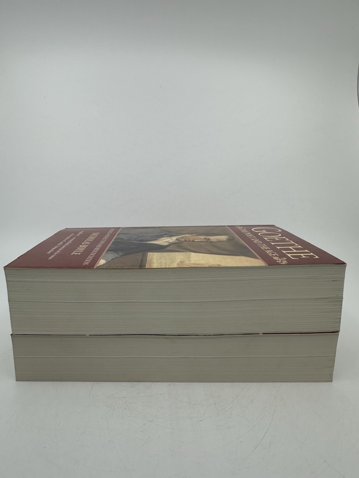 Wolfgang Goethe: the Poet and the Age Vol. I & II Nicholas Boyle Set Like New