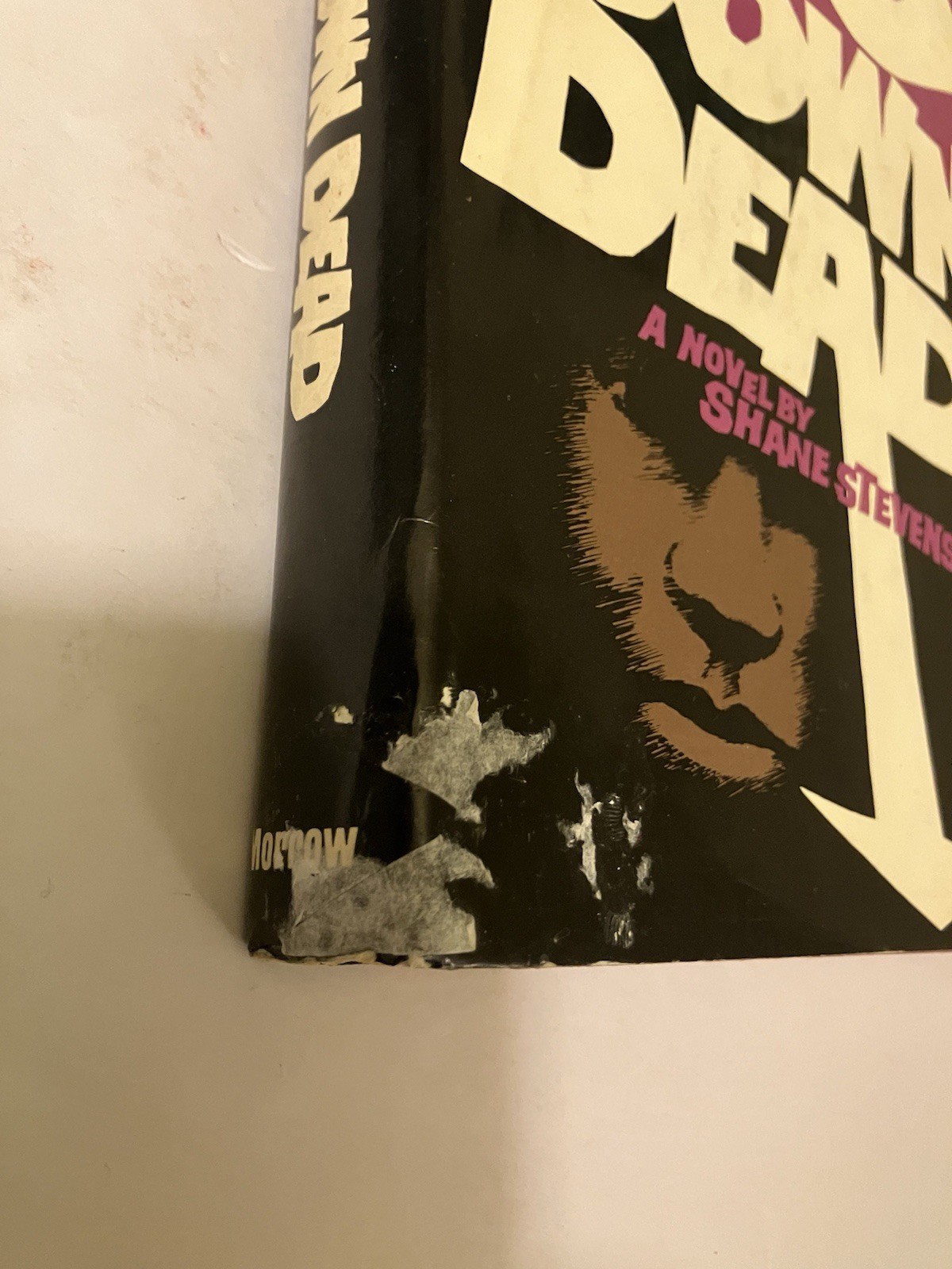 GO DOWN DEAD SHANE STEVENS 1966 HC DJ 1ST WILLIAM MORROW HARLEM GANG LIFE YOUTH