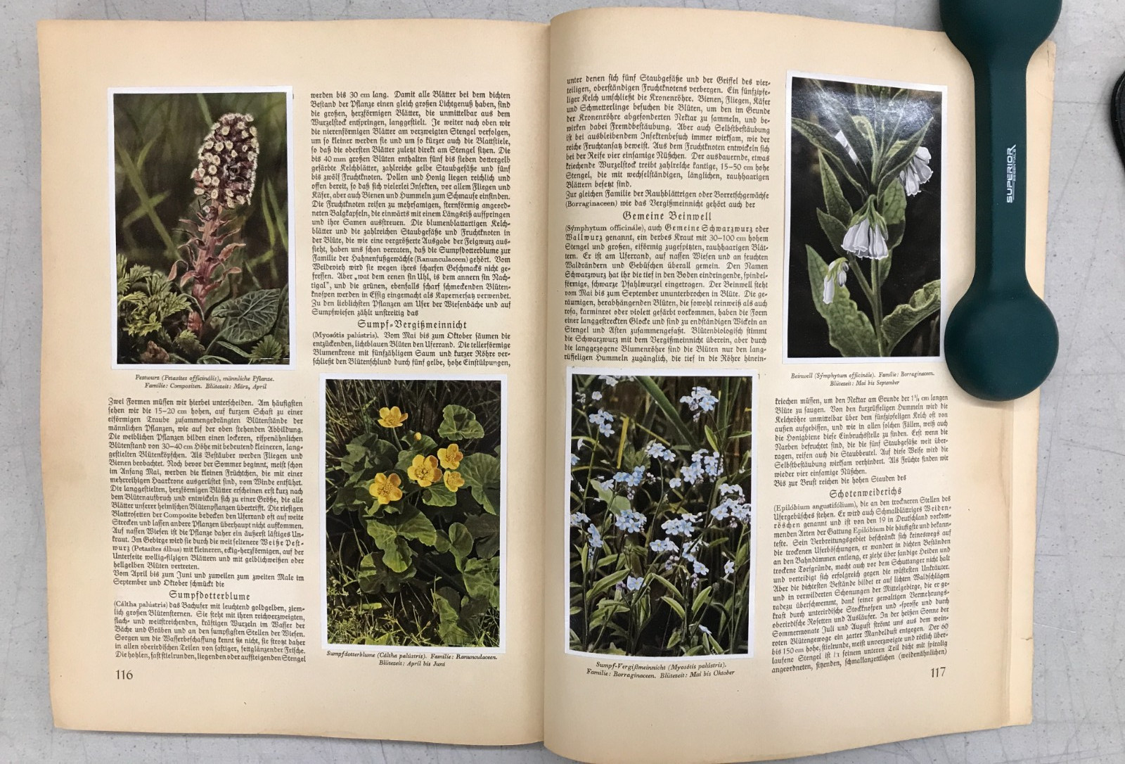 Aus Wald Und Flur – Two German Books 1937/1938 Plants and Animals, Set of 2 E-77