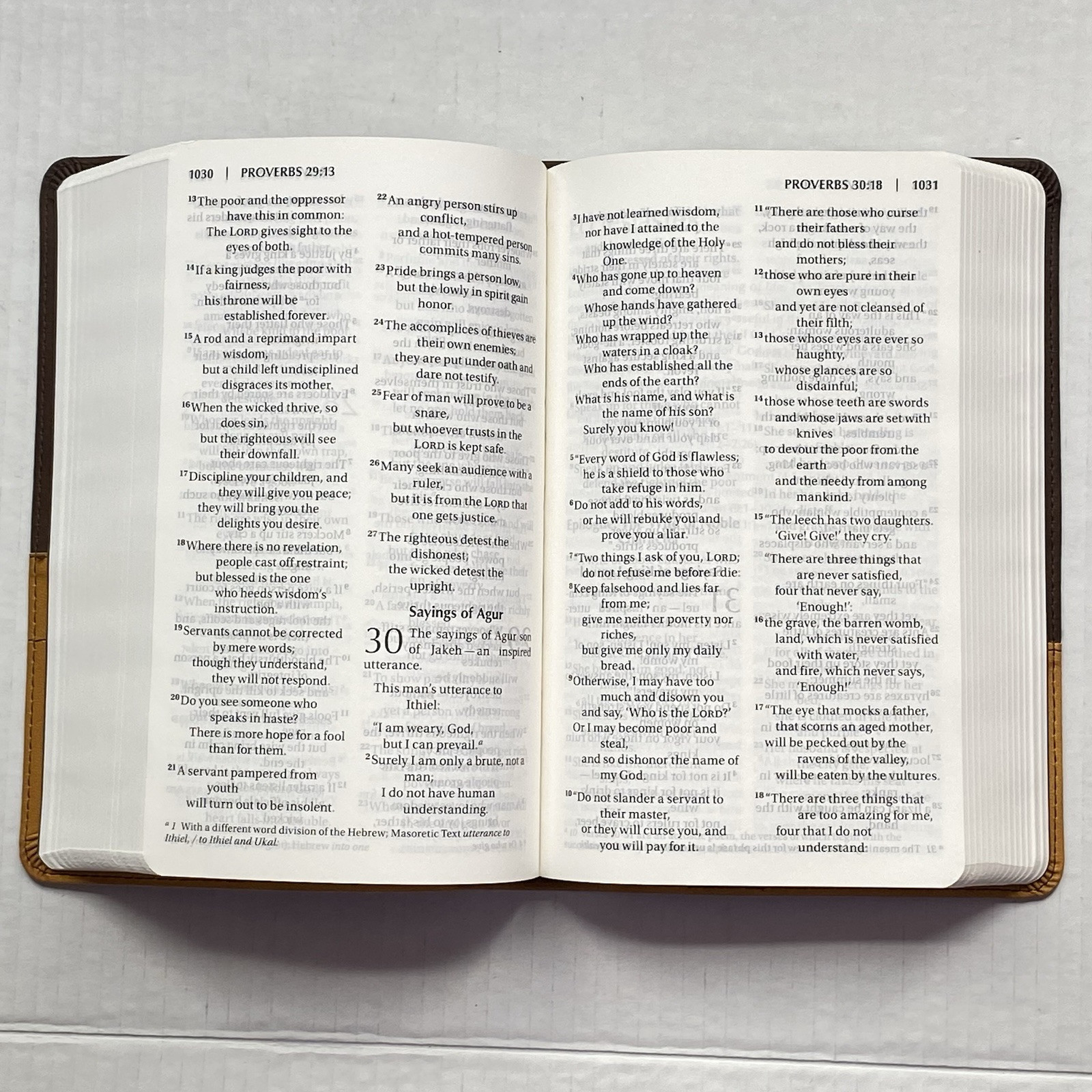 NIV Large Print Bible Leathersoft Chocolate Amber Zondervan Personal Size Ribbon