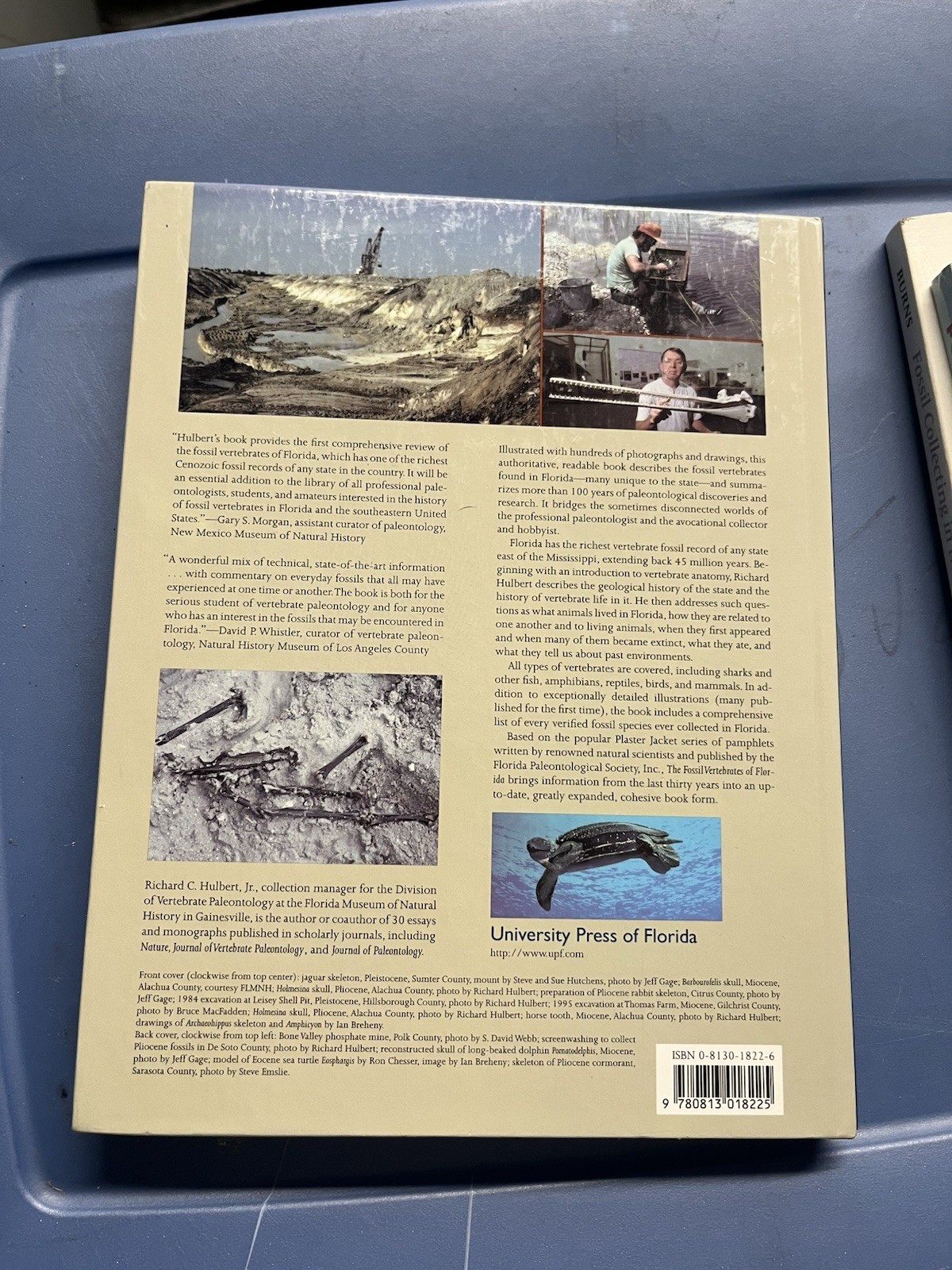 The Fossil Vertebrates Of Florida