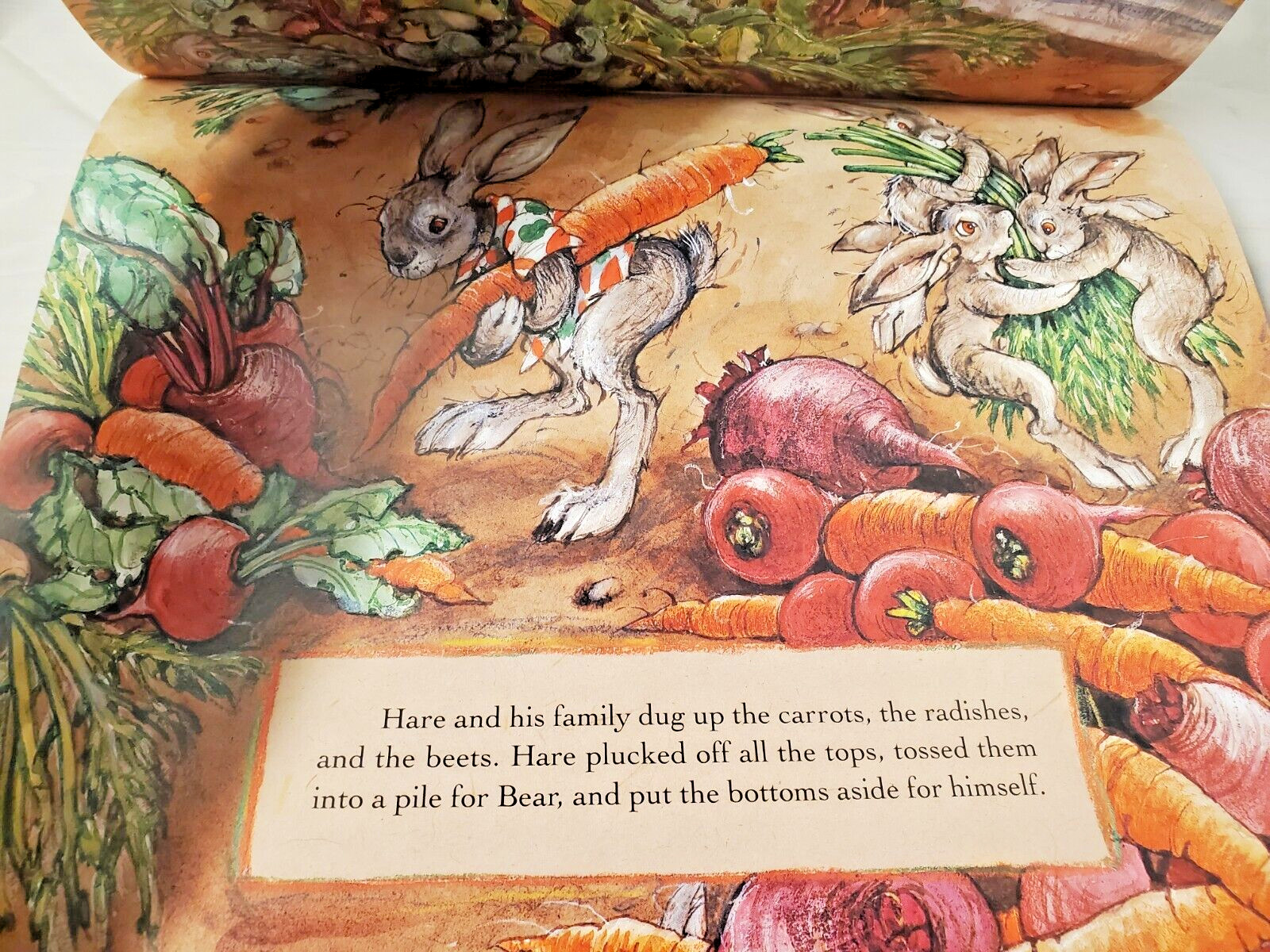 Children’s Book TOPS & BOTTOMS by Janet Stevens ~ 1st Ed Hardcover w/dust jacket