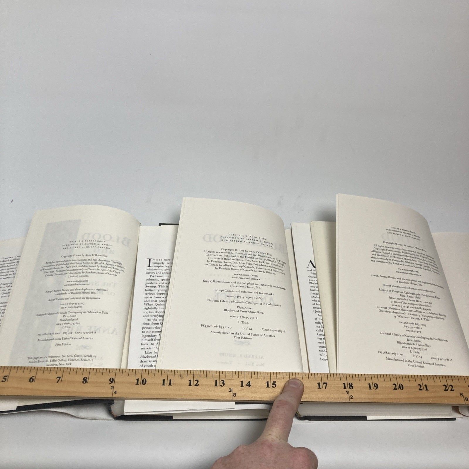 ANNE RICE IMMORTAL UNIVERSE *All 1ST EDITION* Vampire Chronicles Mayfair Witches