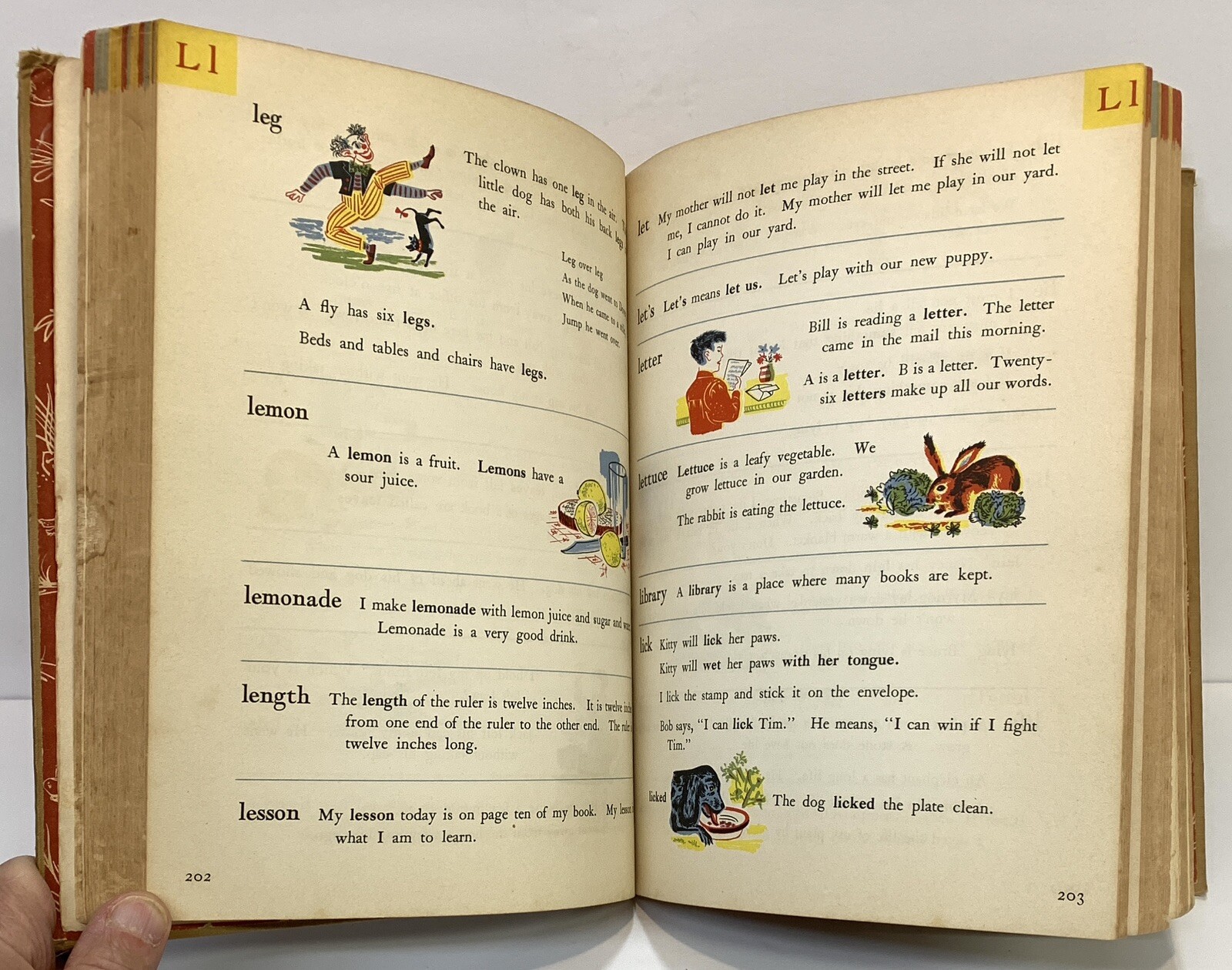 The Rainbow Dictionary How And Why Children’s Book Illustrated 430 Pages 1947