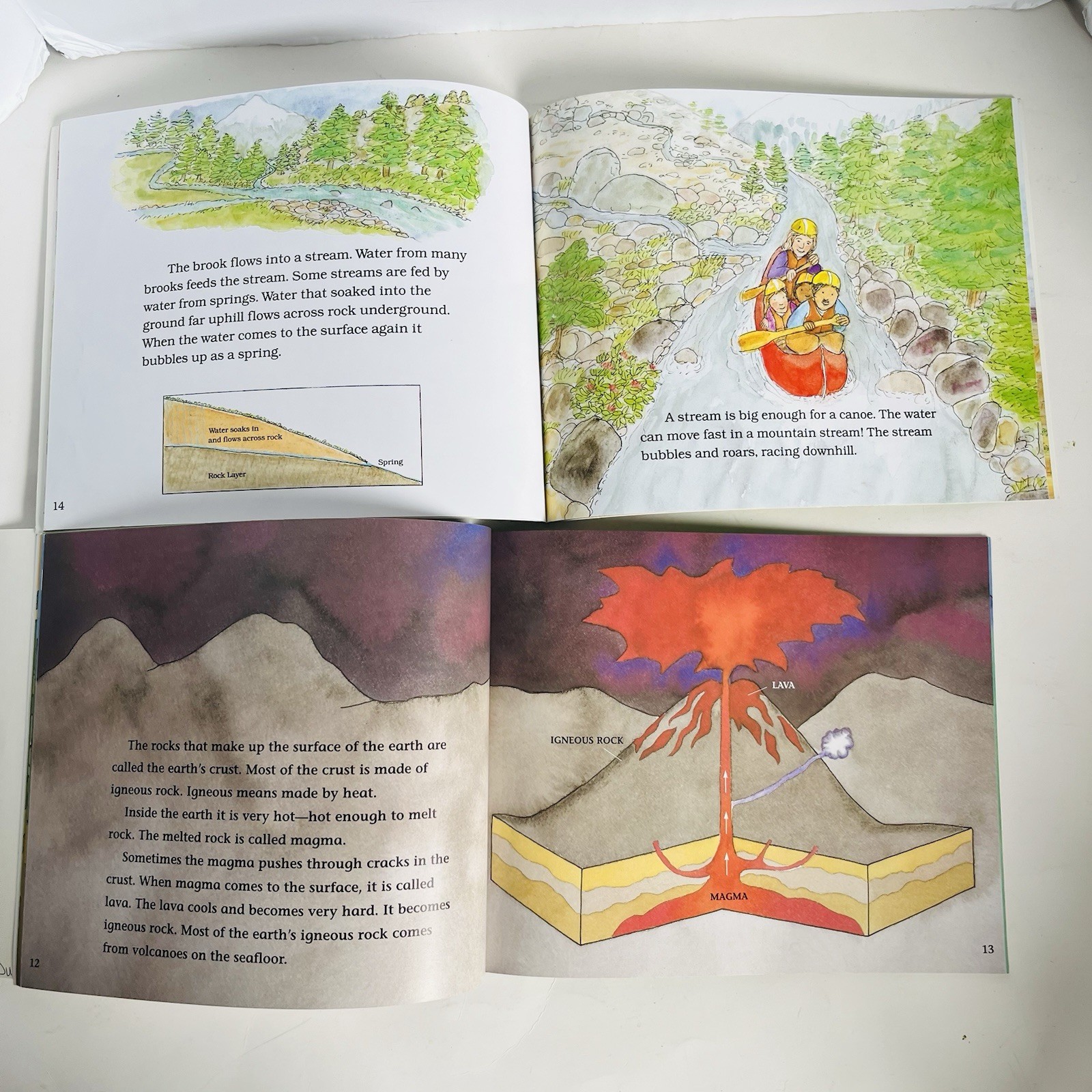 Lets Read and Find Out Science Book Lot 12 Hamburger Skeleton Planets Dinosaur P