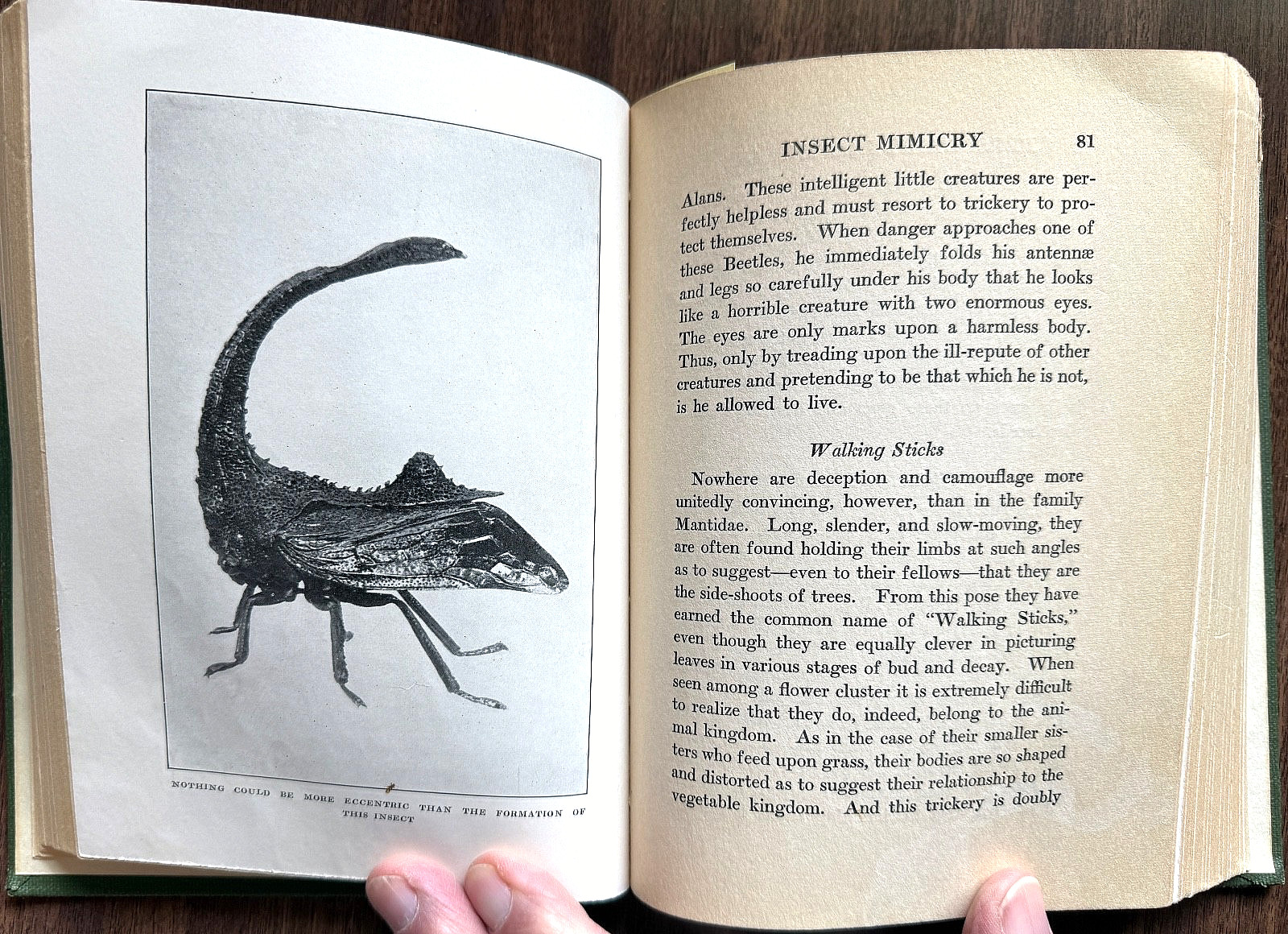 1924 1st Ed PERSONALITY of INSECTS by R. Dixon & B. Eddy HB/247pp/ILLUSTRATED