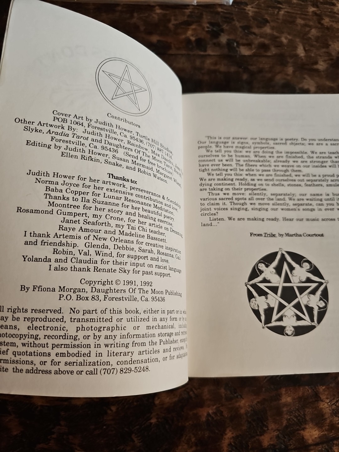 Wild Witches Don’t Get the Blues Ffiona Morgan 1991 Astrology Rituals Healing