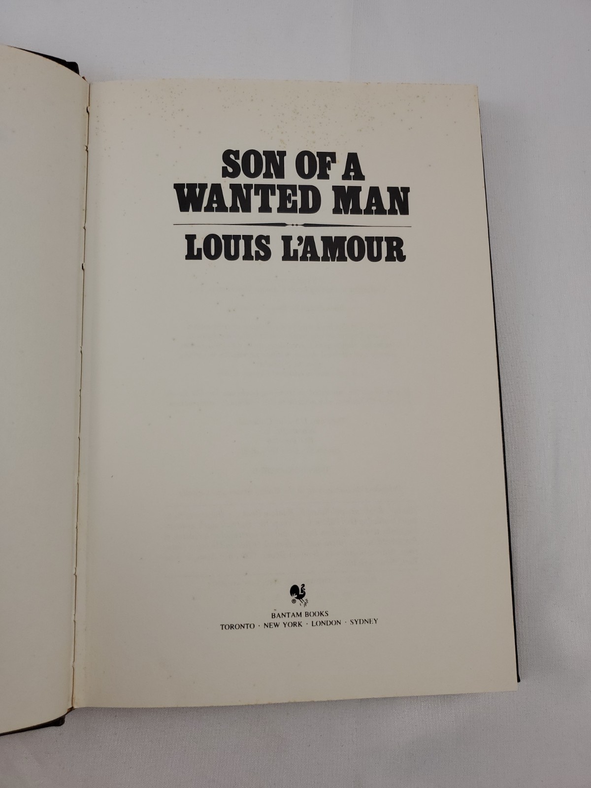 The Louis L’amour Collection Leatherette Bantam Book Lot Of 10