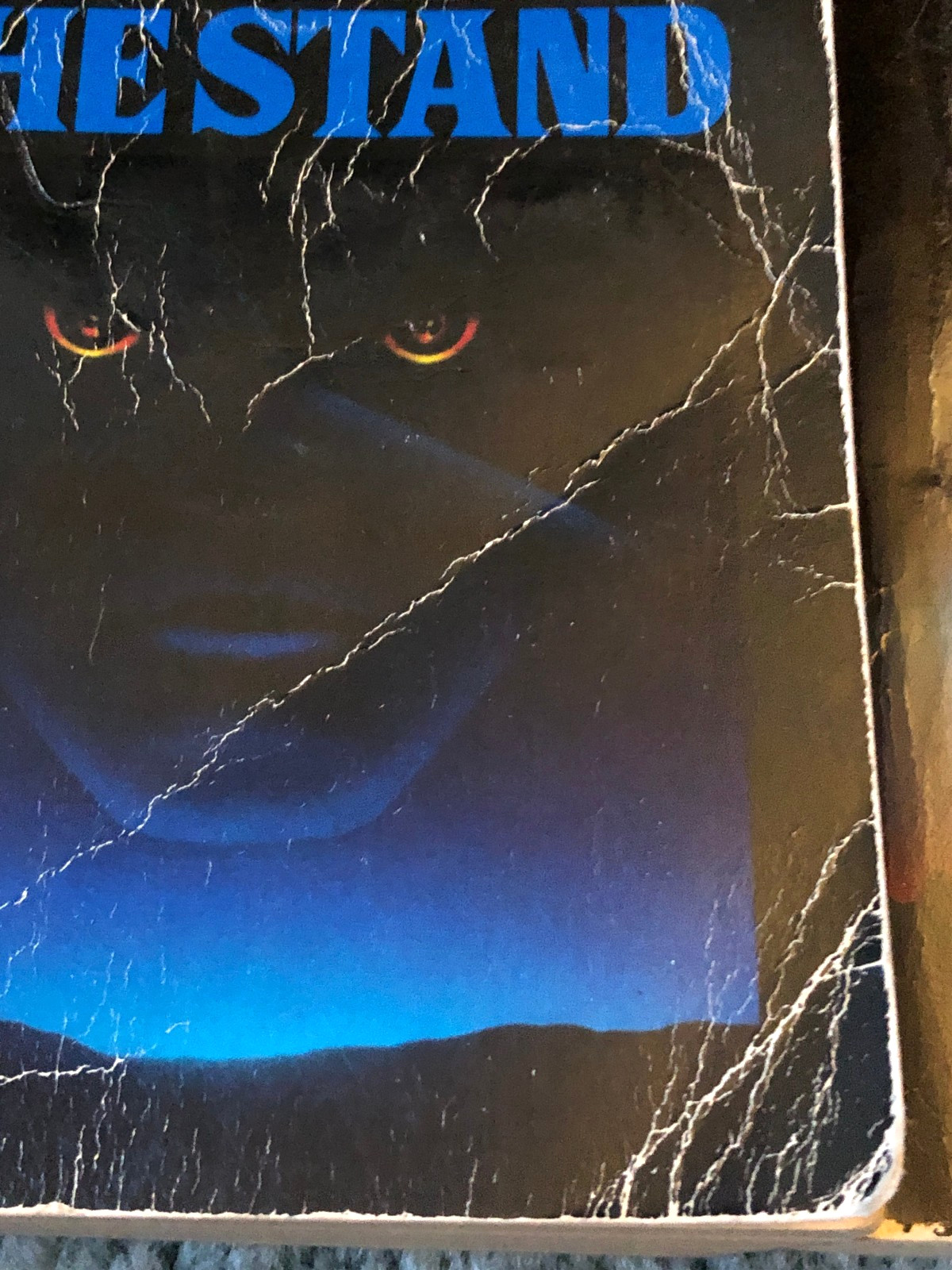 Stephen King books, Salem’s Lot & The Stand, Signet paperbacks