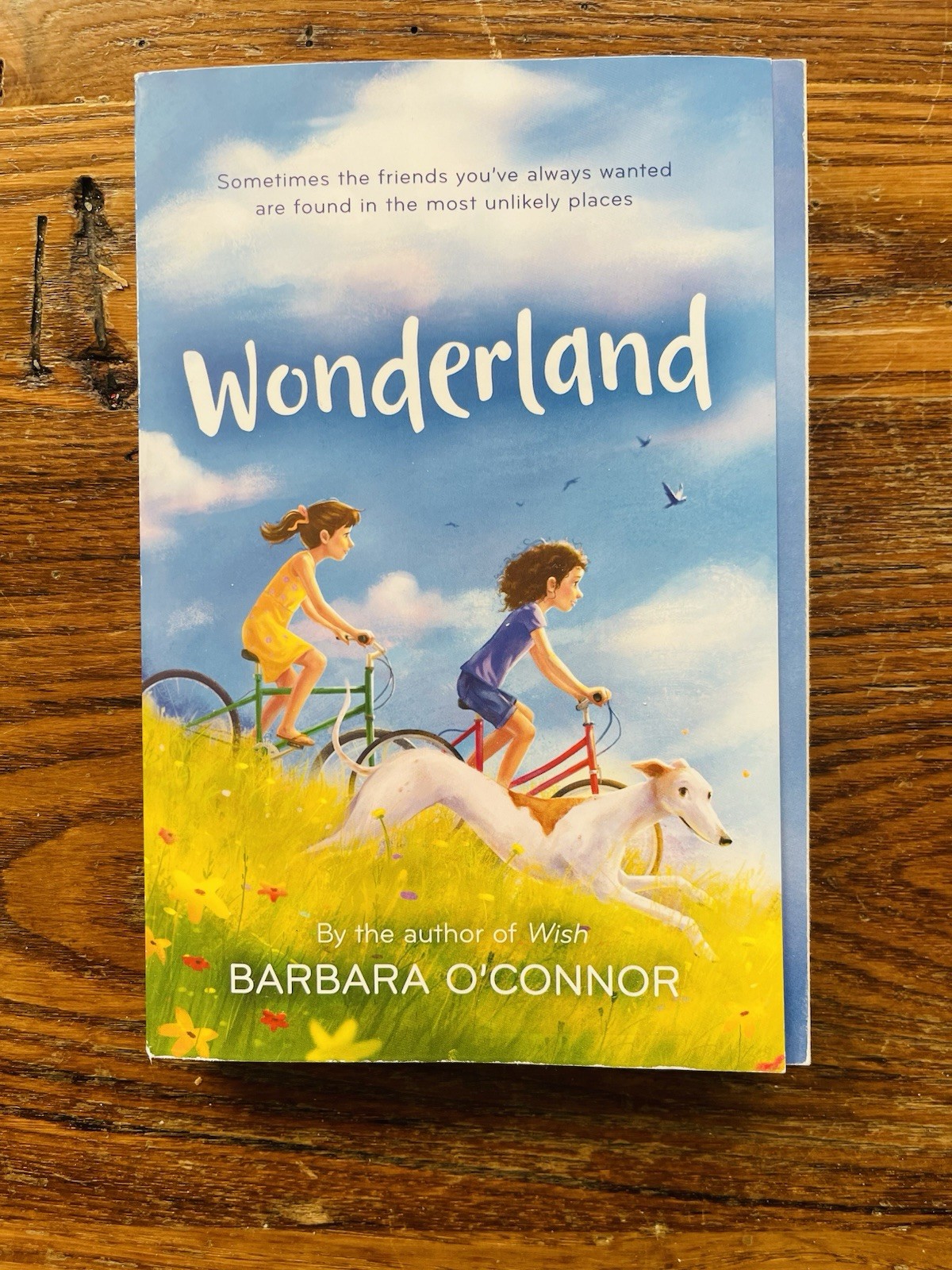 Wonderland By Barbara O’Conner Paperback 282 Pages A Best friend’s Adventure