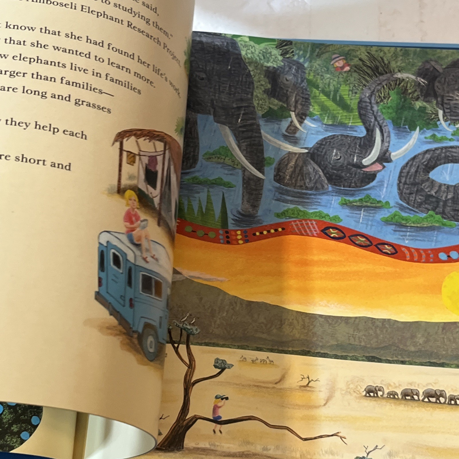 A Passion for Elephants by Toni Buzzeo Children’s Book Hardcover 2015
