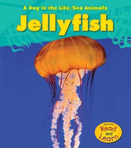 Jellyfish (A Day in the Life: – Library Binding, by Spilsbury Louise – Very Good