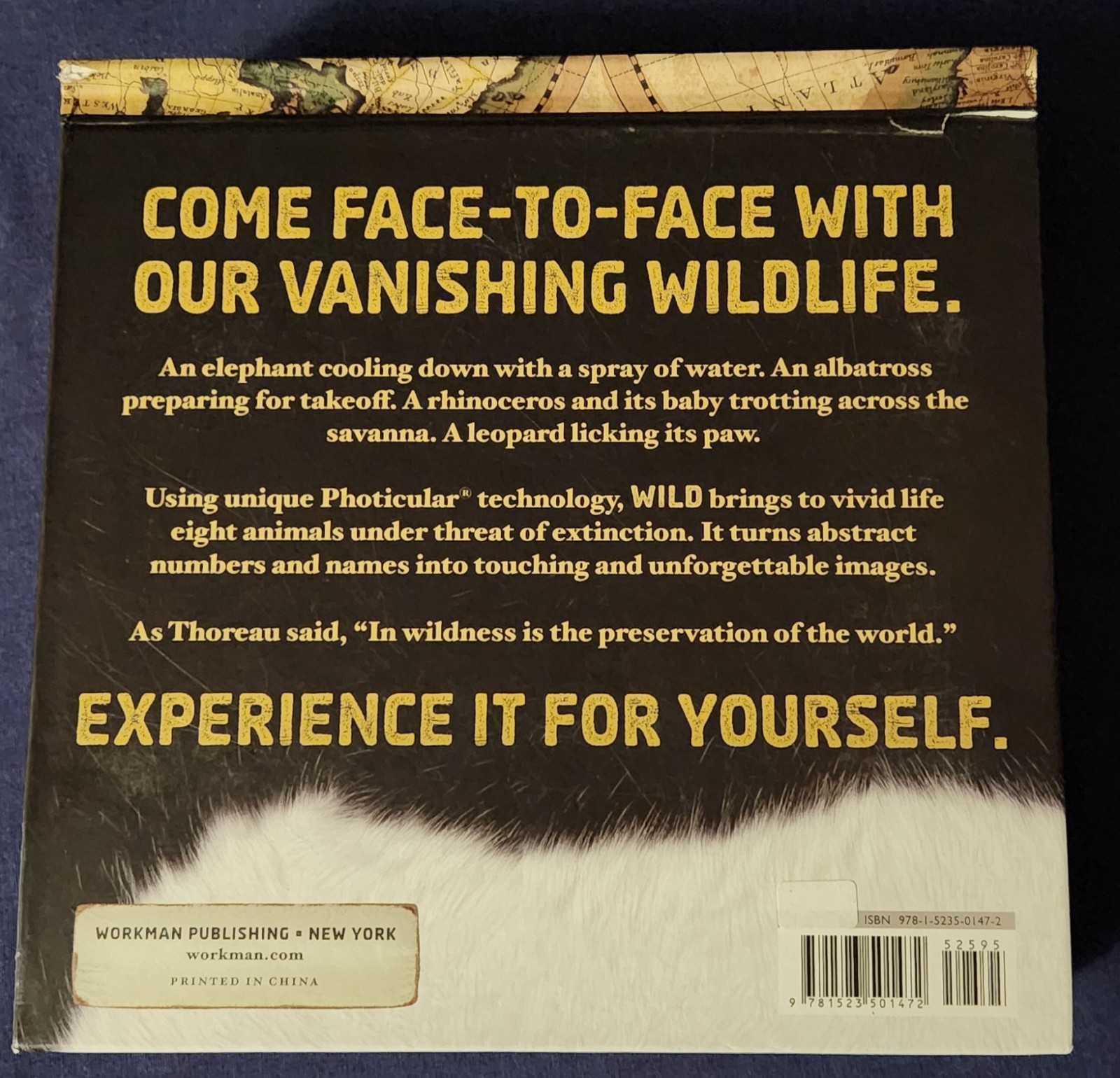 Set of 4 Dan Kainen Photicular Books Jungle Wild Ocean Outback Motion Rare