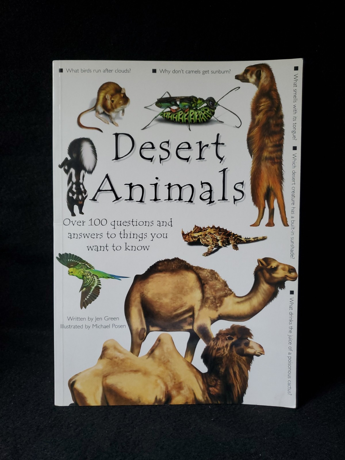 Books Are Fun Lot of 5 Animal & Dinosaur Question Answer Books Kids Educational