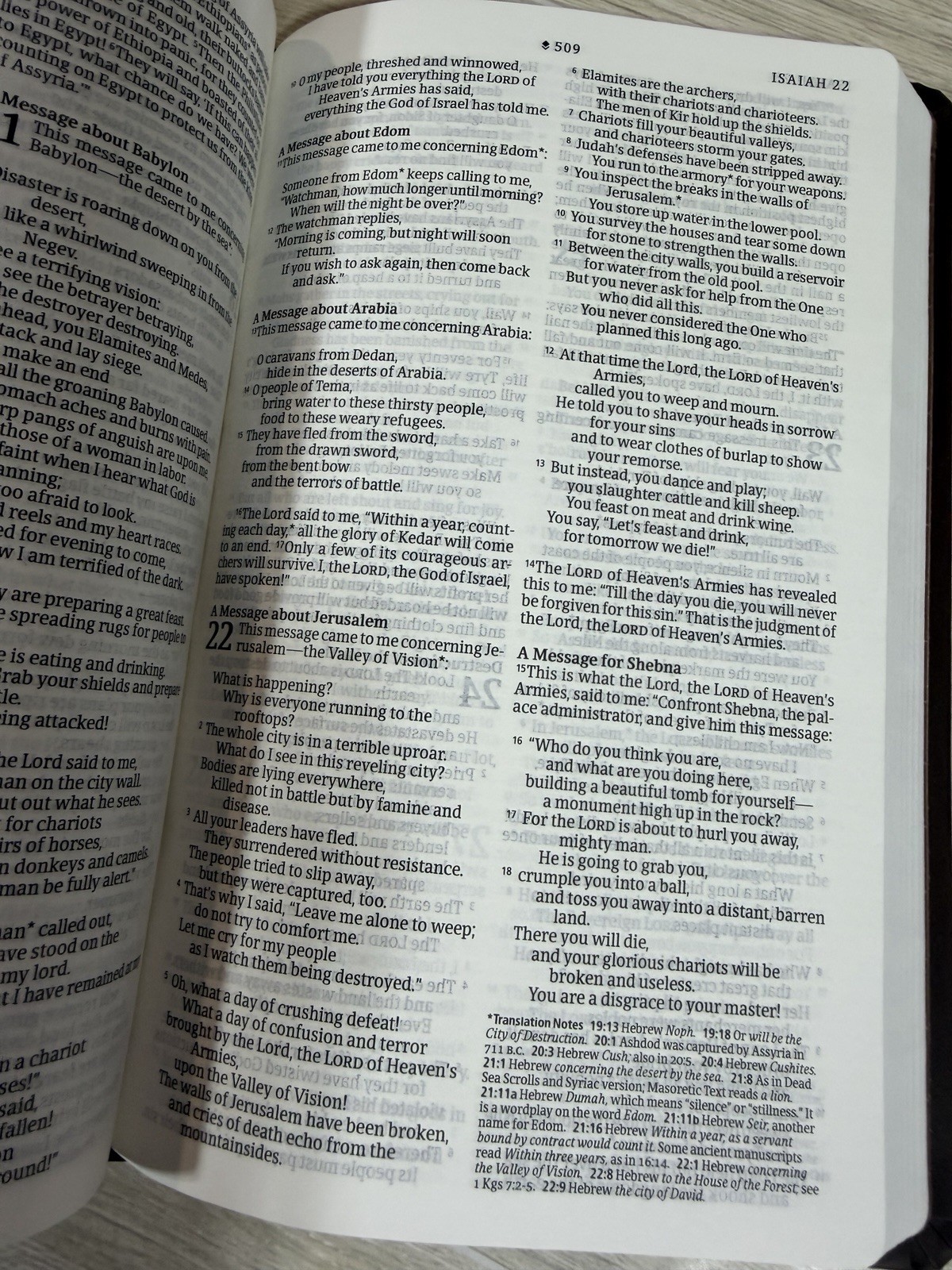 New- NLT Premium Value Thinline Bible, Filament Enabled, Brown Color ~~ No Box
