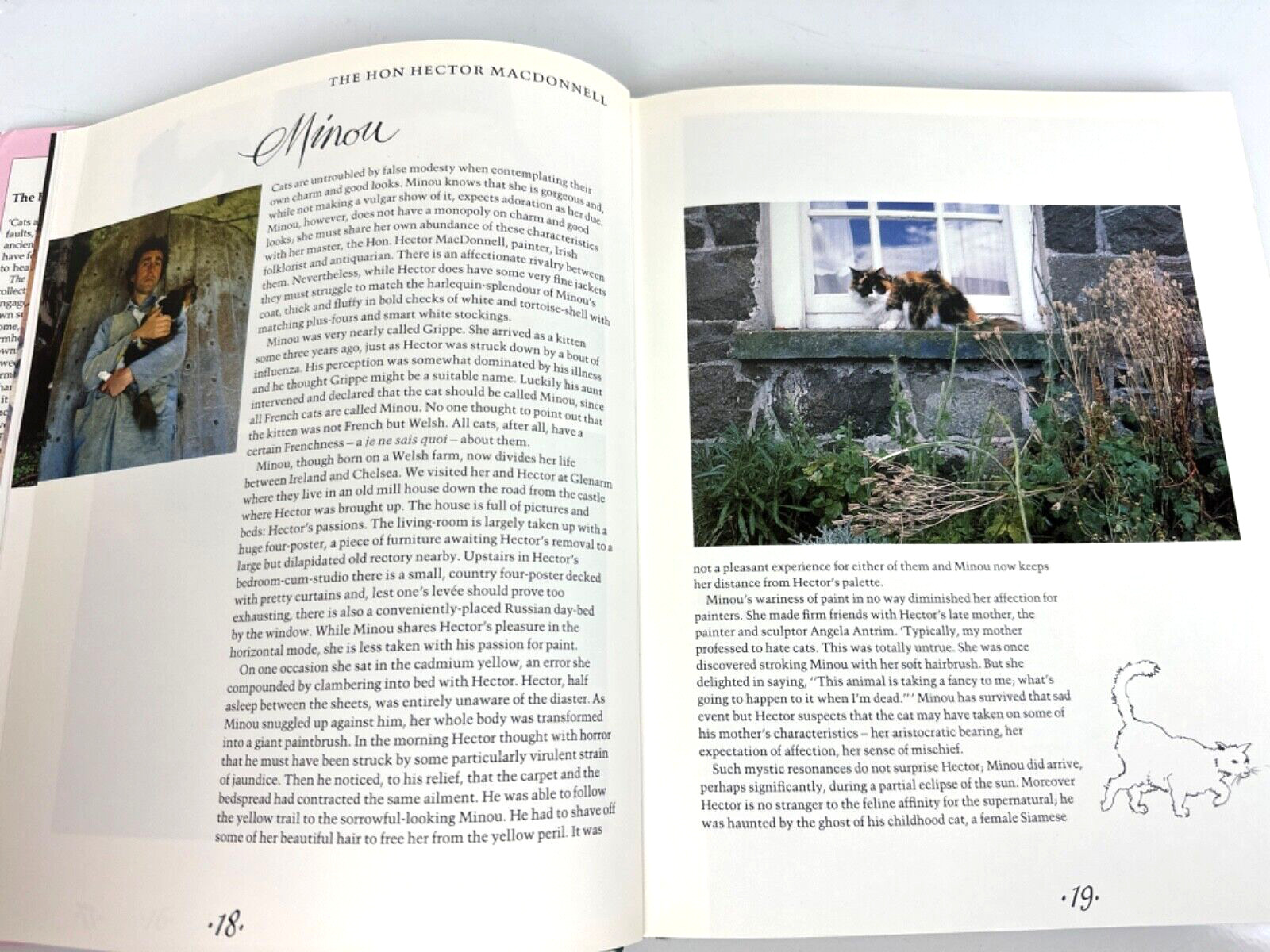 ‘The English Cat at Home’ by Matthew Sturges Hardcover Book 158 Pages c 1988