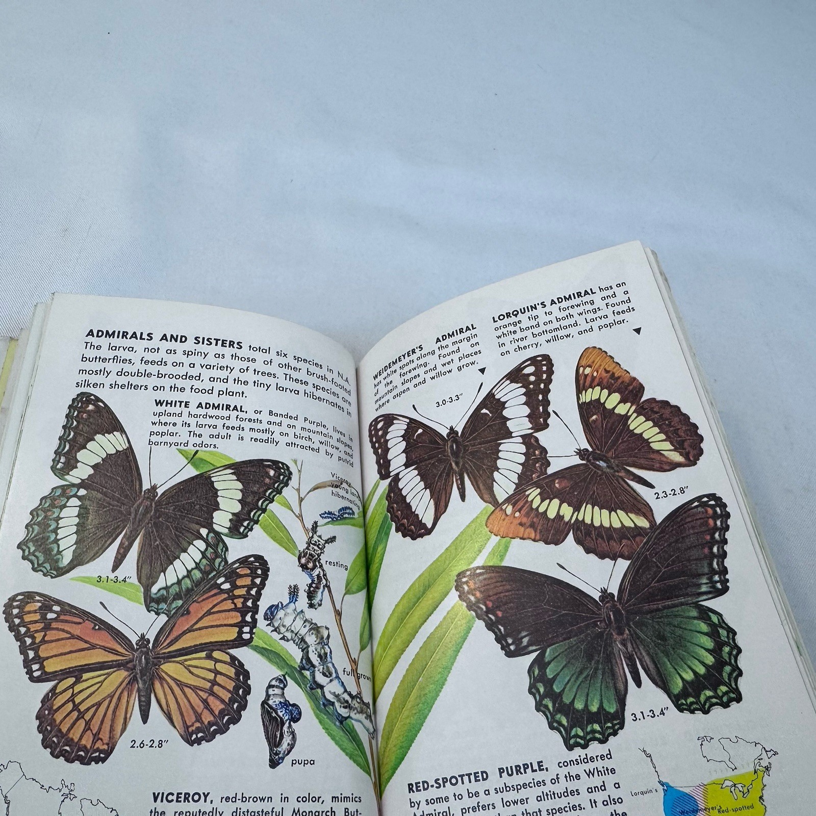 Butterflies and Moths A Golden Nature Guide Hardback 1964 Golden Press Fast Ship