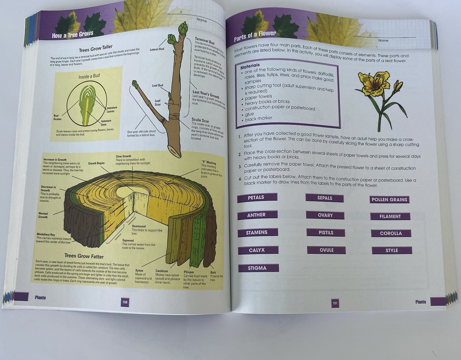 Brand New Science Workbook Grades 5–6 Full Color Paperback School Study Guide