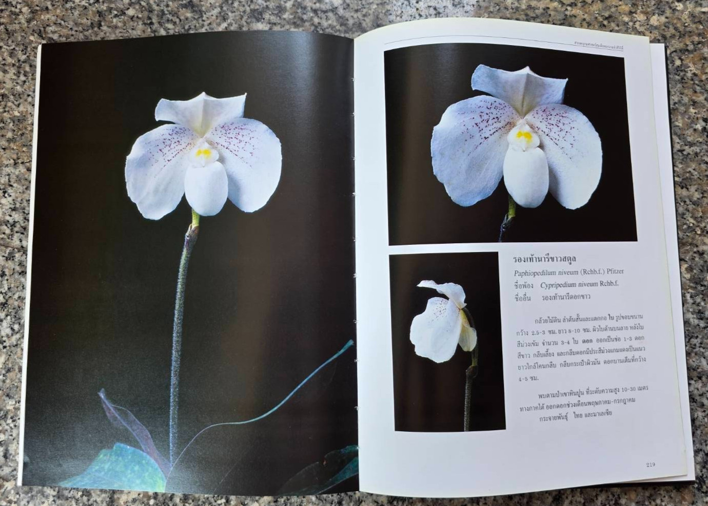 Hardcover book featuring all ” Thai orchids. ” ( Hardcover)
