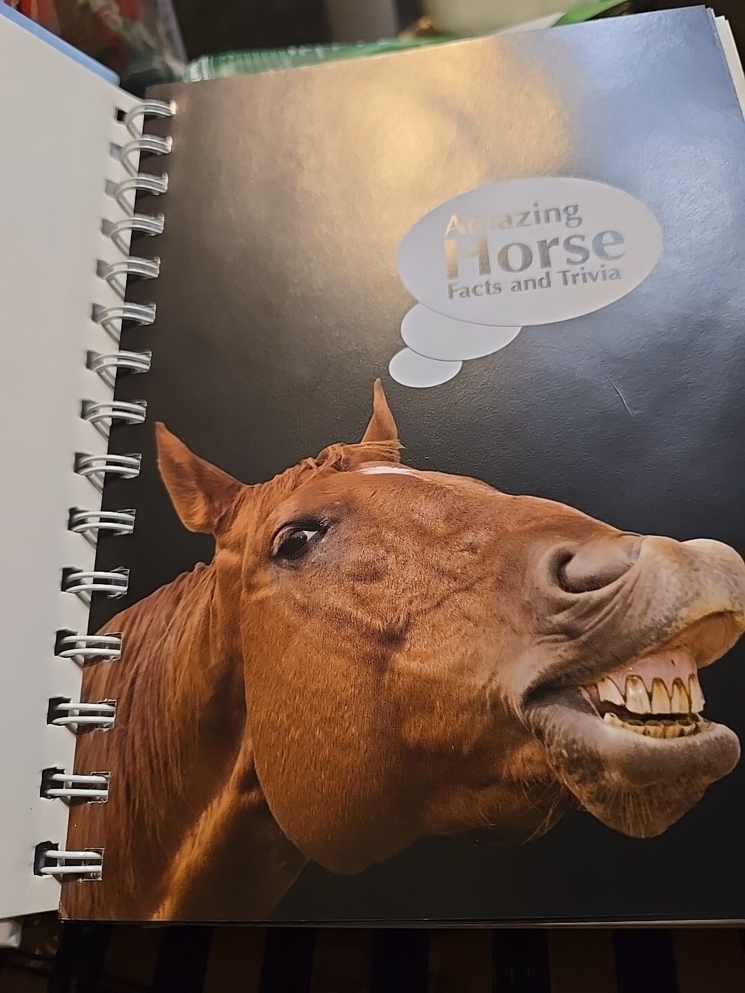 Amazing Horse Facts And Trivia (Amazing Facts Trivia) – Spiral-bound – GOOD