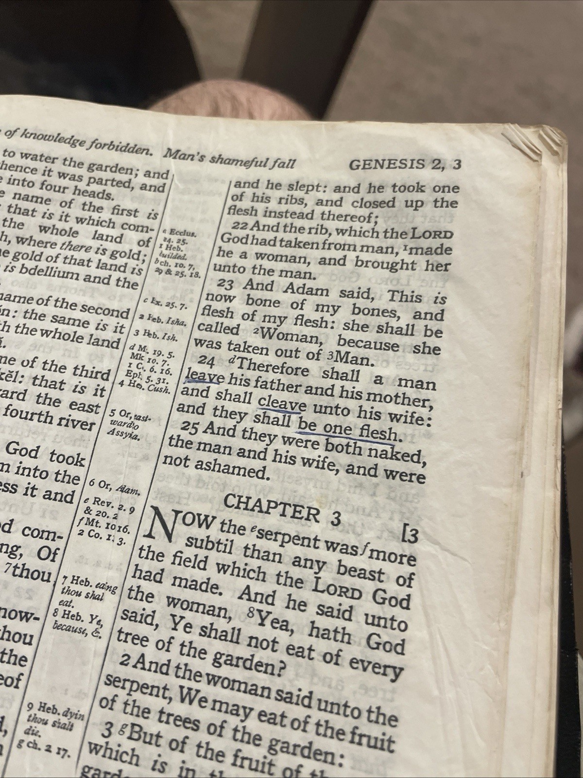 Holy Bible Cambridge French Morocco leather #24XC