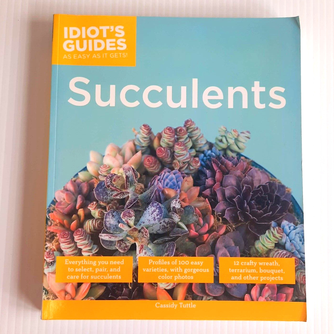 Succulents Care Guide Propagation Selection Pairing Crafts Terrarium Bouquet